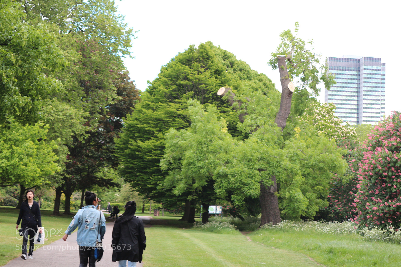Canon EOS 650D (EOS Rebel T4i / EOS Kiss X6i) sample photo. Img photography