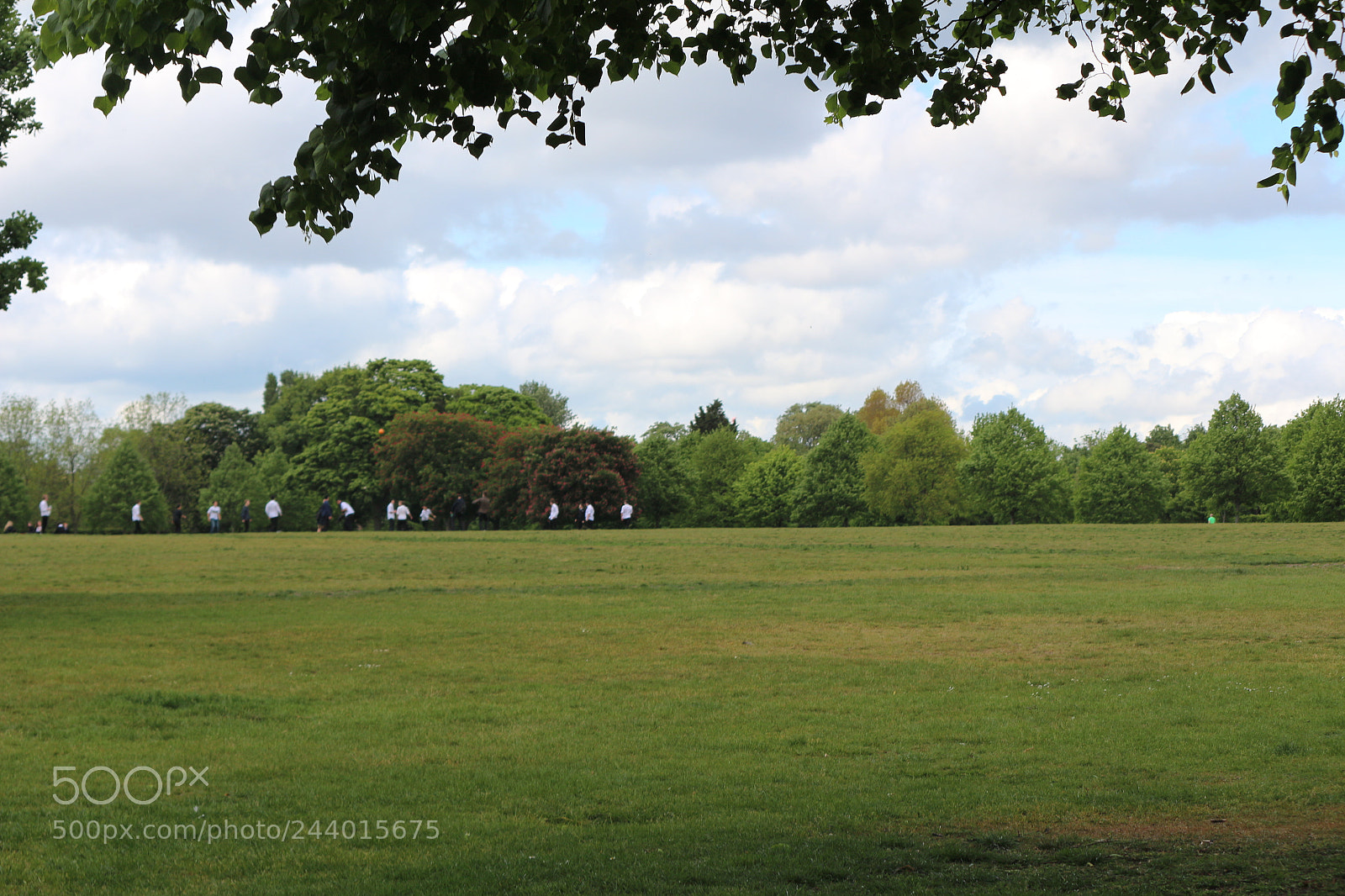 Canon EOS 650D (EOS Rebel T4i / EOS Kiss X6i) sample photo. Img photography