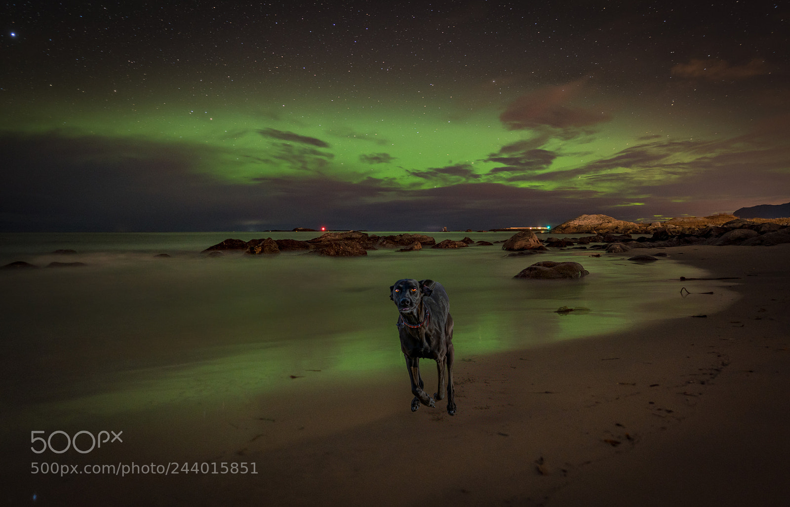 Sony a7R II sample photo. Night of the hellhounds photography