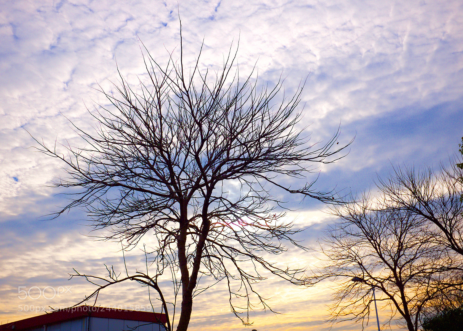 Fujifilm X100T sample photo. Colorful photography