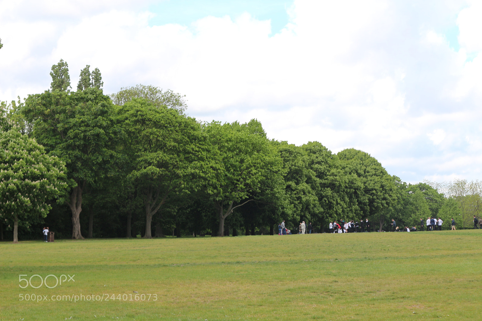 Canon EOS 650D (EOS Rebel T4i / EOS Kiss X6i) sample photo. Img photography