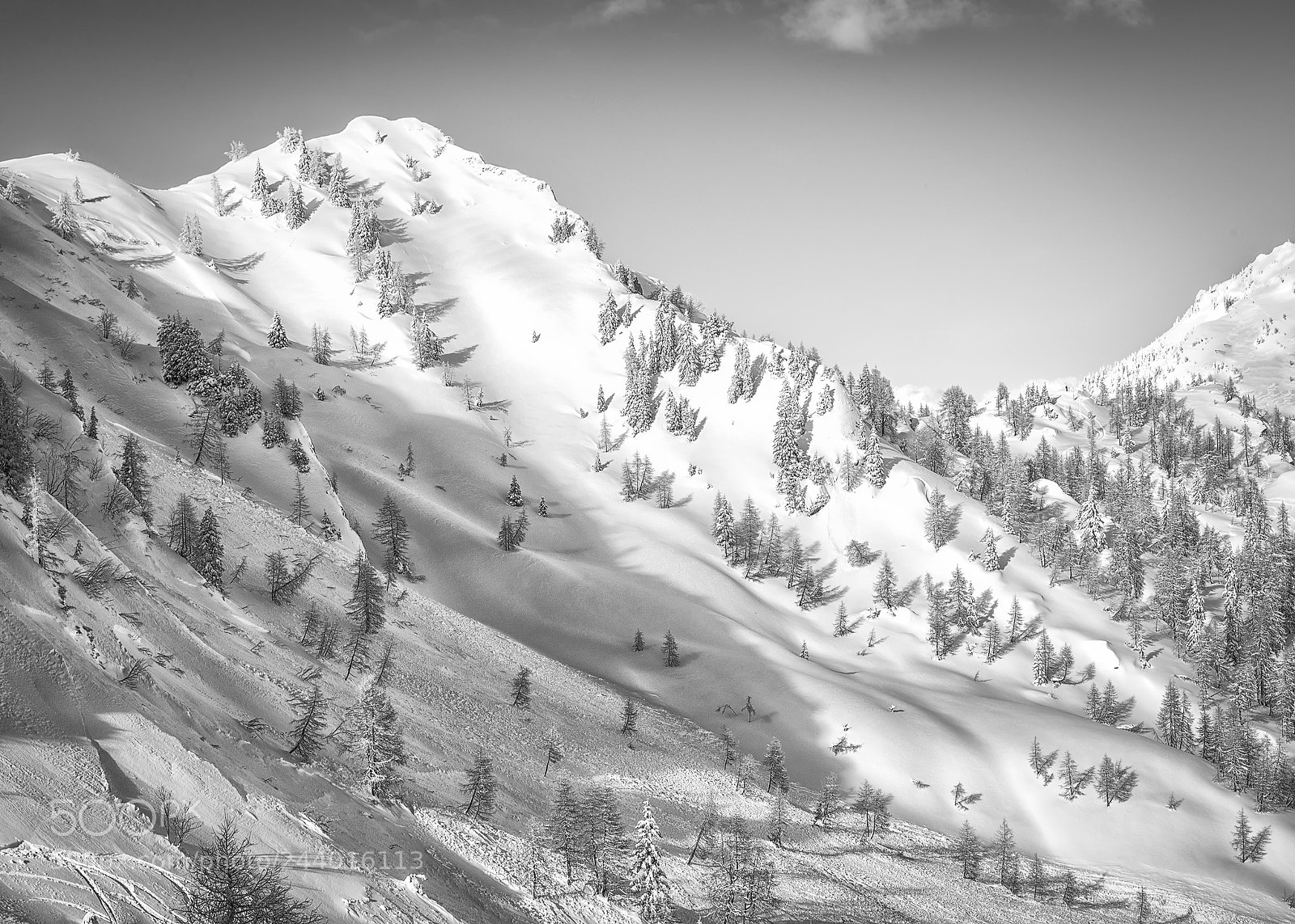 Nikon D800 sample photo. Silence photography