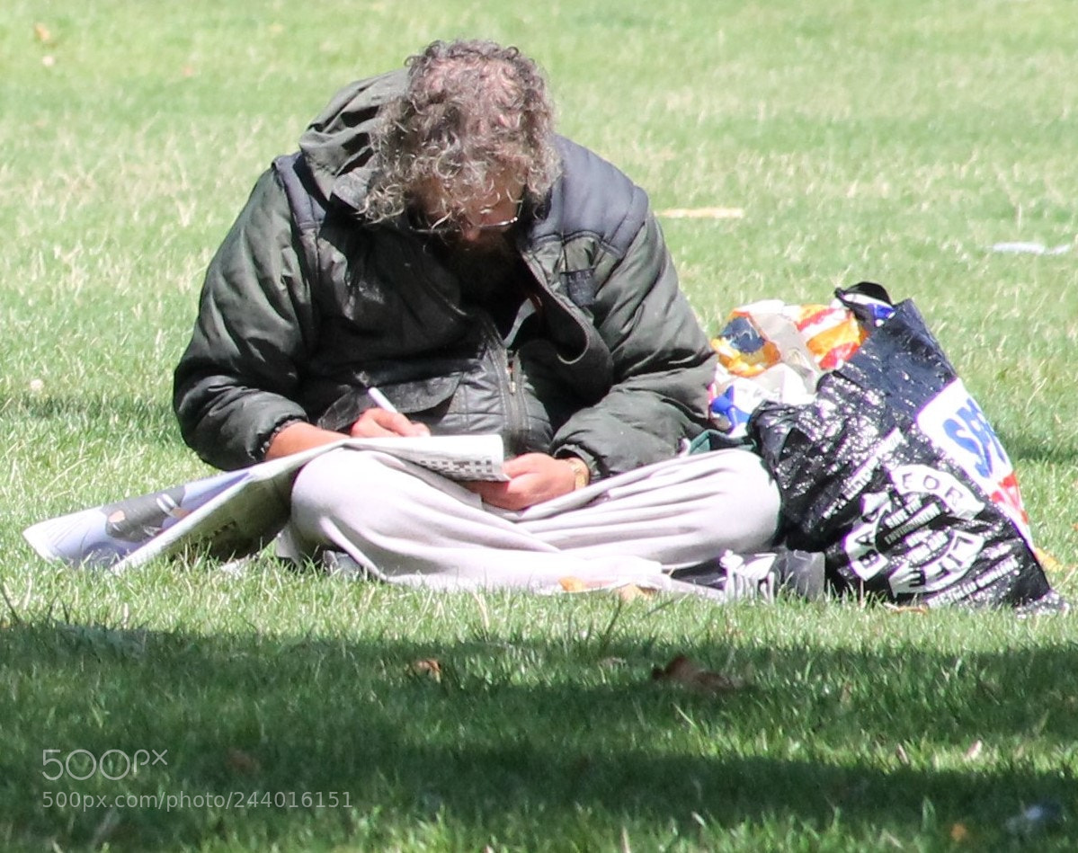 Canon EOS 1100D (EOS Rebel T3 / EOS Kiss X50) sample photo. () photography