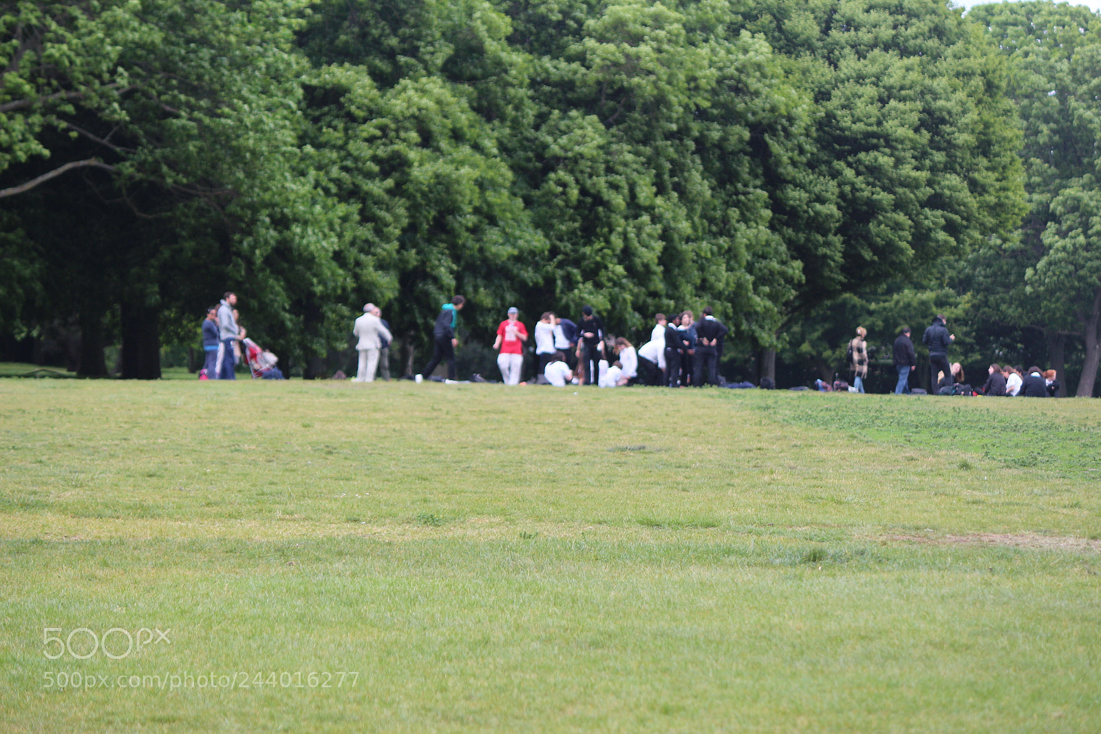 Canon EOS 650D (EOS Rebel T4i / EOS Kiss X6i) sample photo. Img photography
