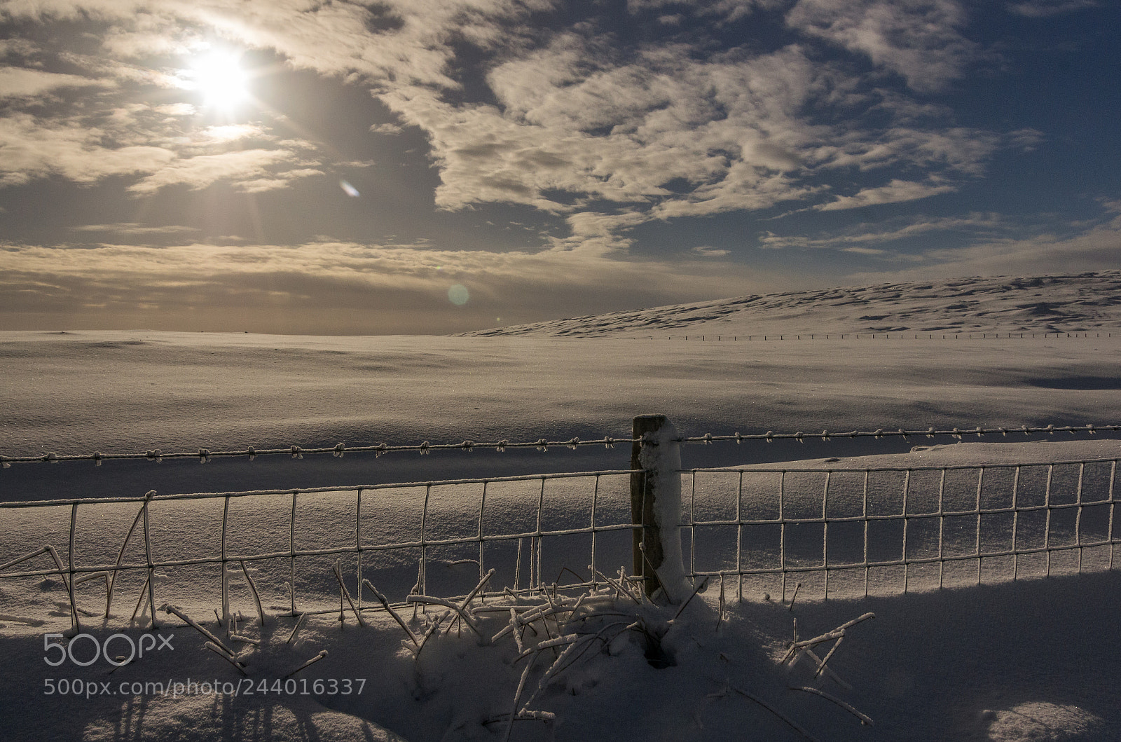 Pentax K-5 sample photo. Snowdrift photography