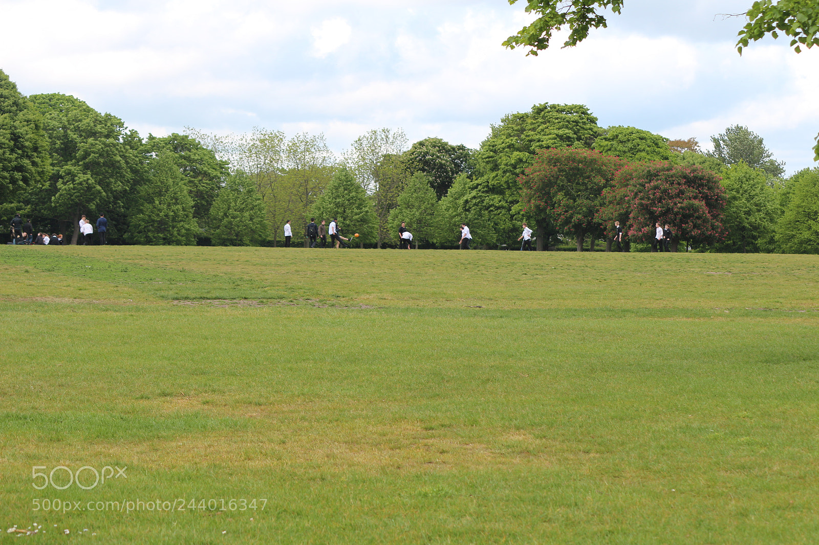 Canon EOS 650D (EOS Rebel T4i / EOS Kiss X6i) sample photo. Img photography