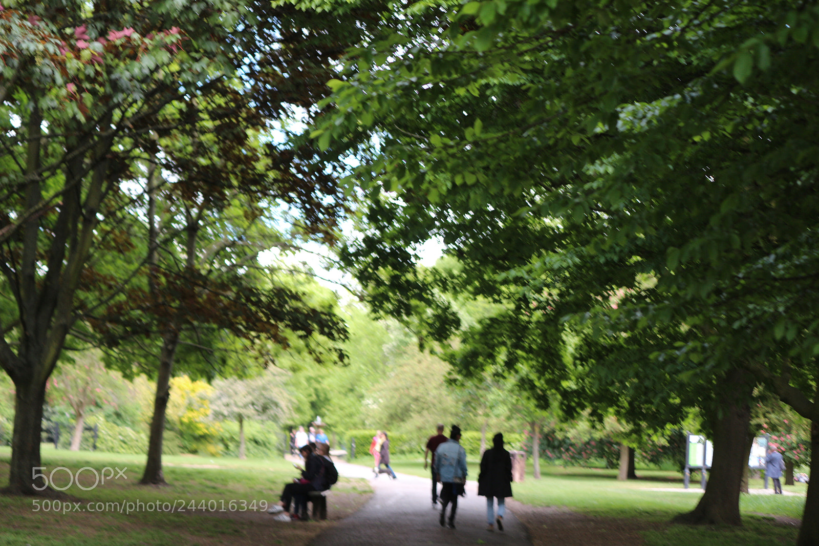 Canon EOS 650D (EOS Rebel T4i / EOS Kiss X6i) sample photo. Img photography