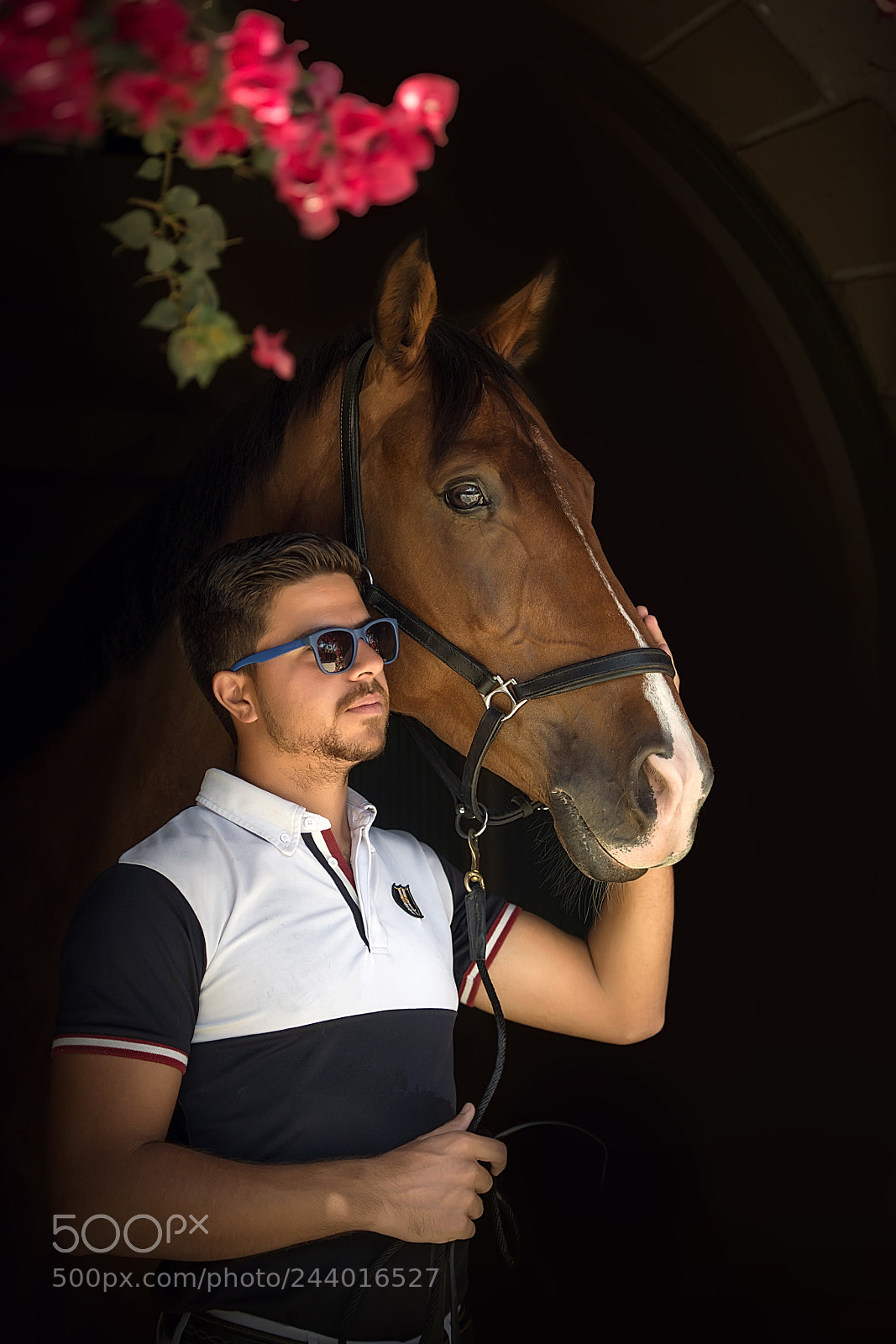 Nikon D800 sample photo. Equestrian portrait photography