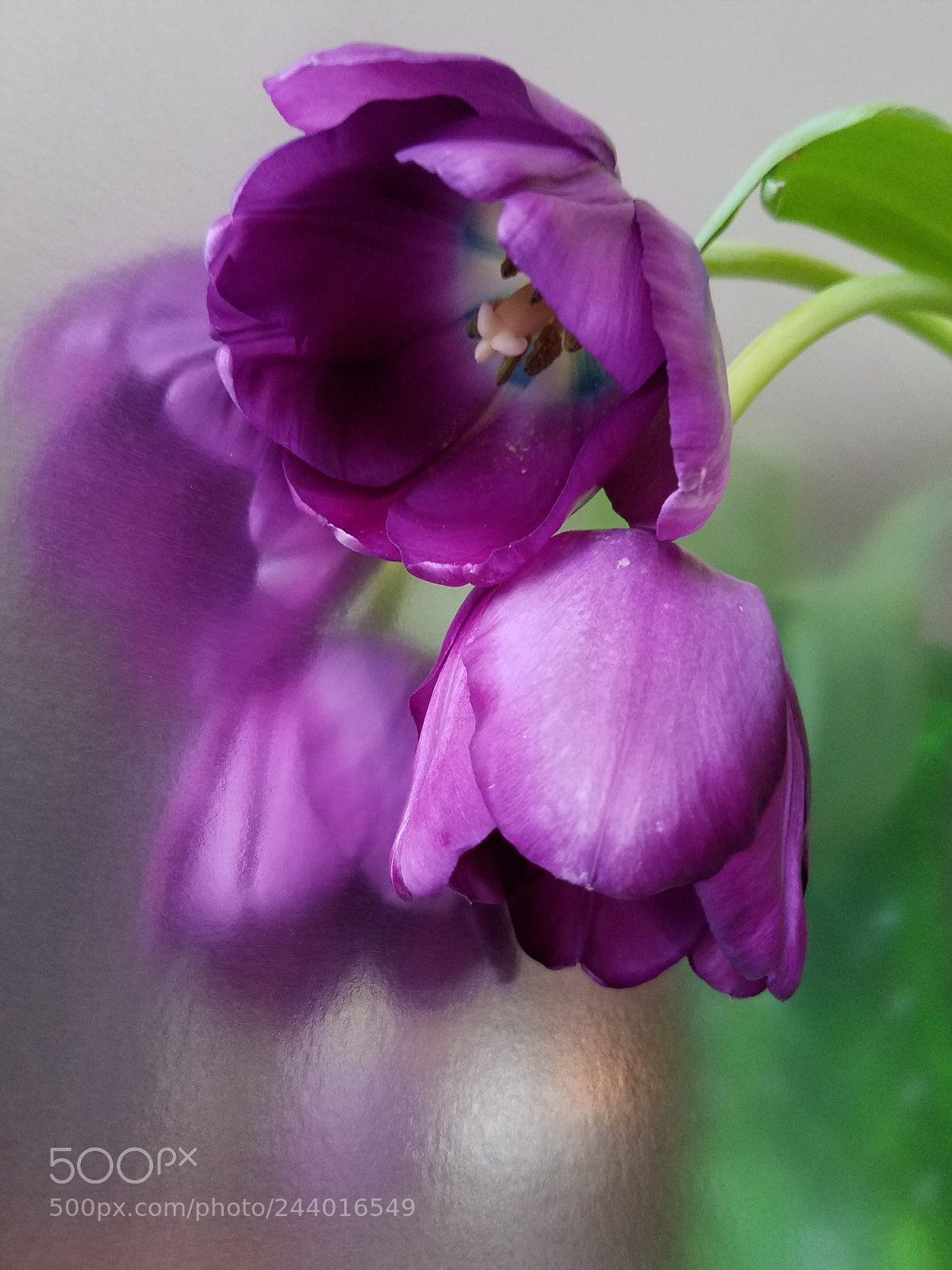 Samsung Galaxy S7 Edge sample photo. Reflection photography