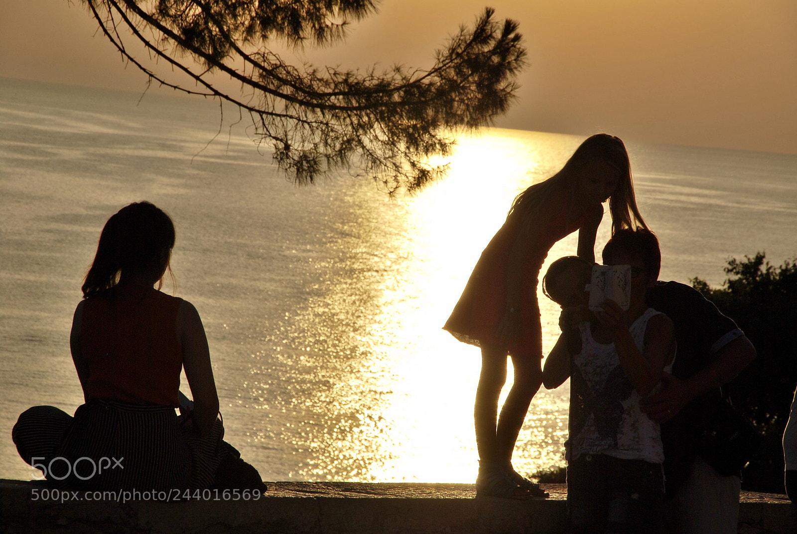 Nikon D60 sample photo. Rovinj, croatia photography