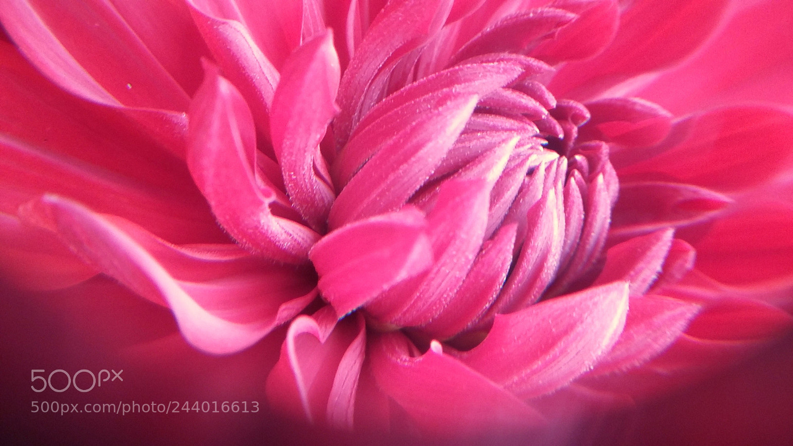 Samsung Galaxy A3 sample photo. 20150816_114143.jpg photography