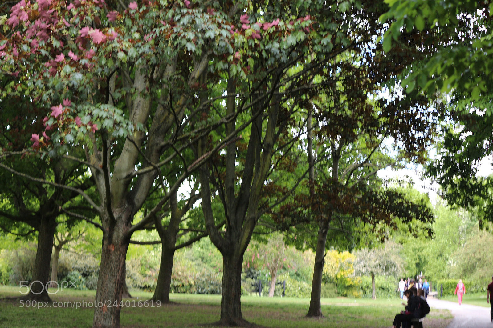 Canon EOS 650D (EOS Rebel T4i / EOS Kiss X6i) sample photo. Img photography