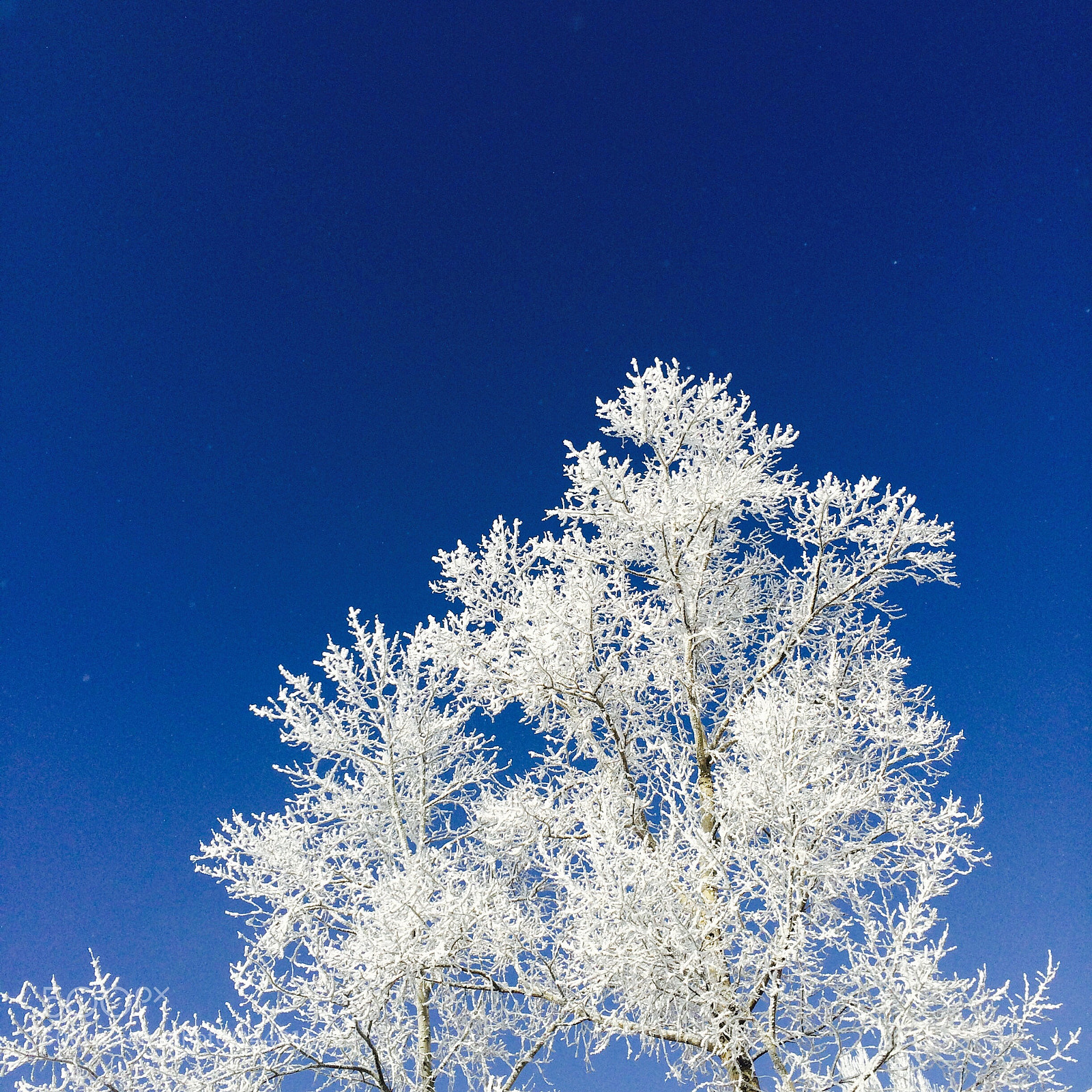 Apple iPhone 5s sample photo. Blue photography