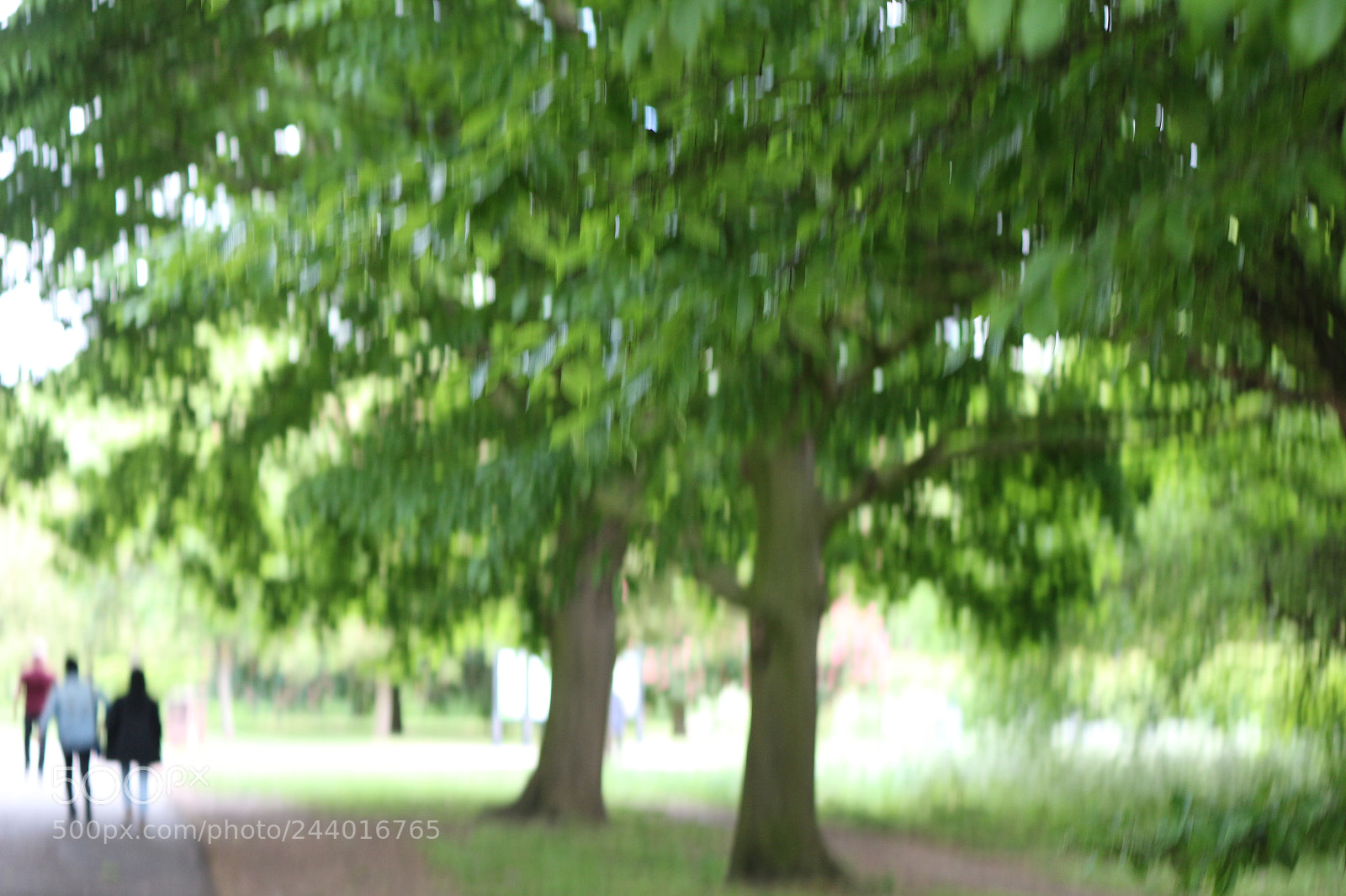 Canon EOS 650D (EOS Rebel T4i / EOS Kiss X6i) sample photo. Img photography