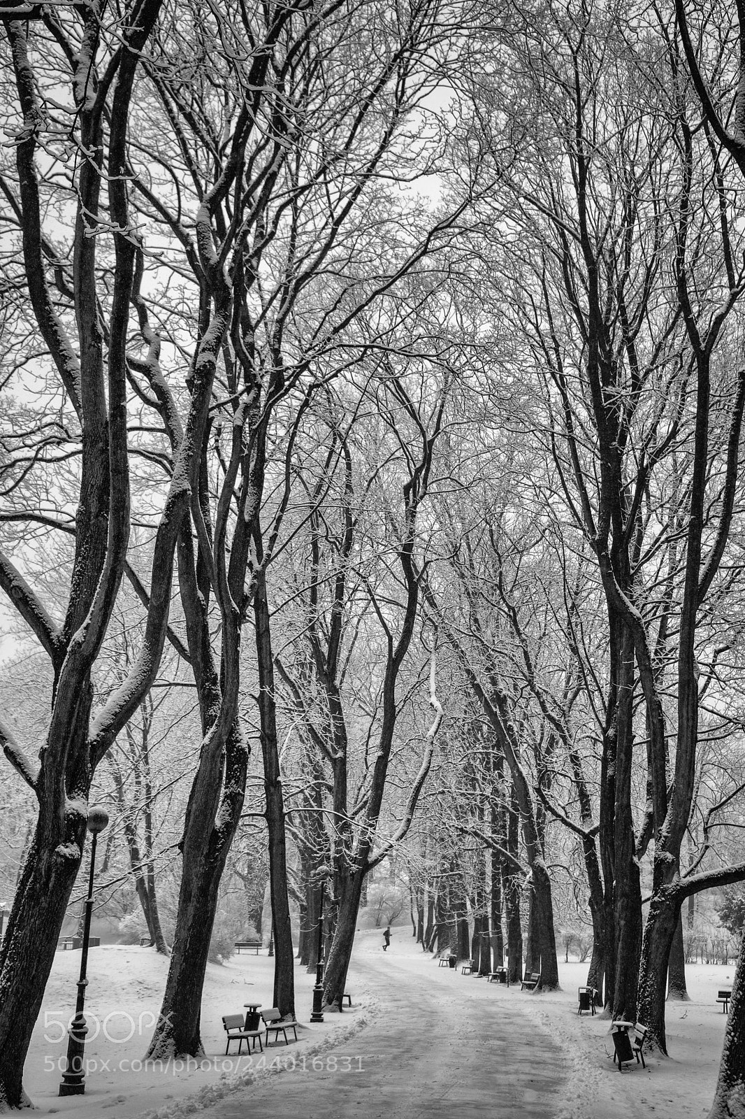 Nikon D7200 sample photo. Edit photography