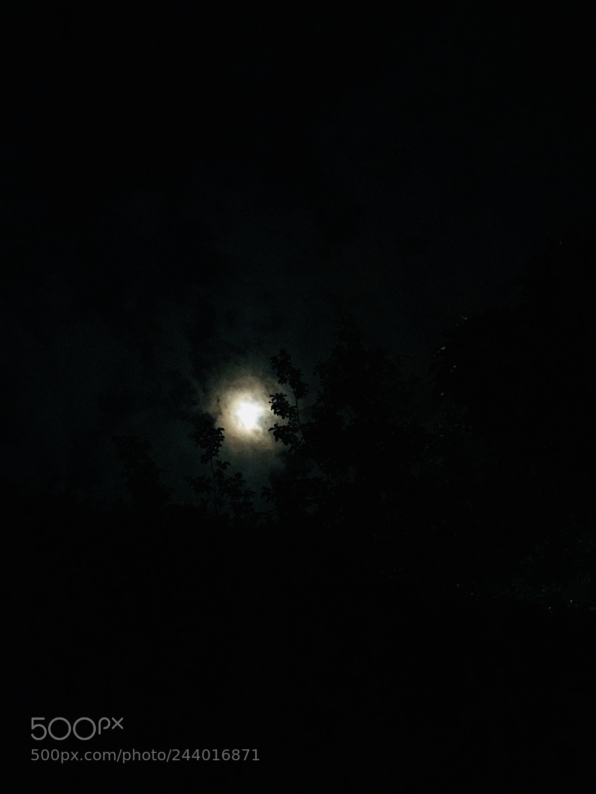Apple iPhone 6 Plus sample photo. Untitled photography