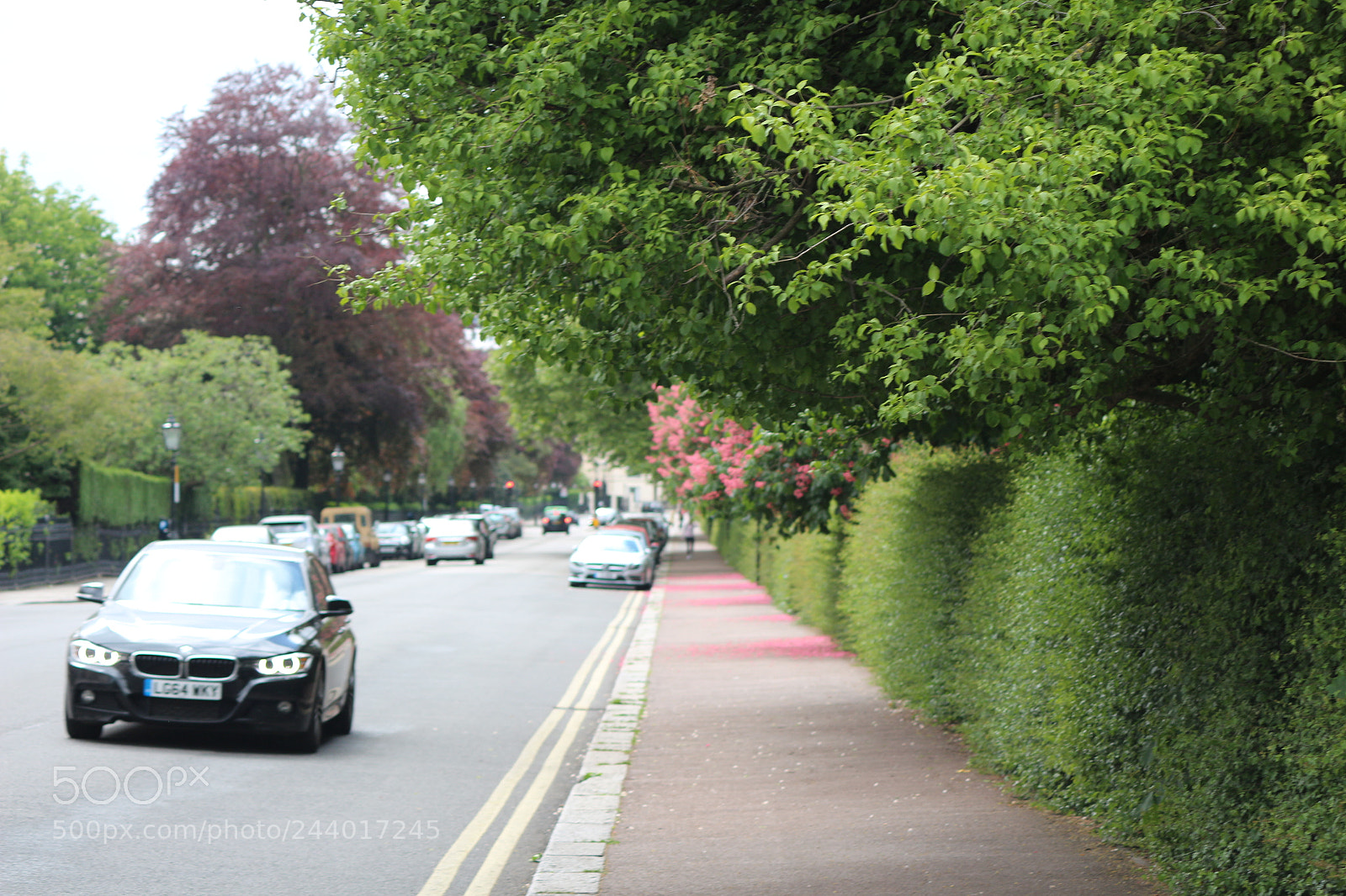 Canon EOS 650D (EOS Rebel T4i / EOS Kiss X6i) sample photo. Img photography