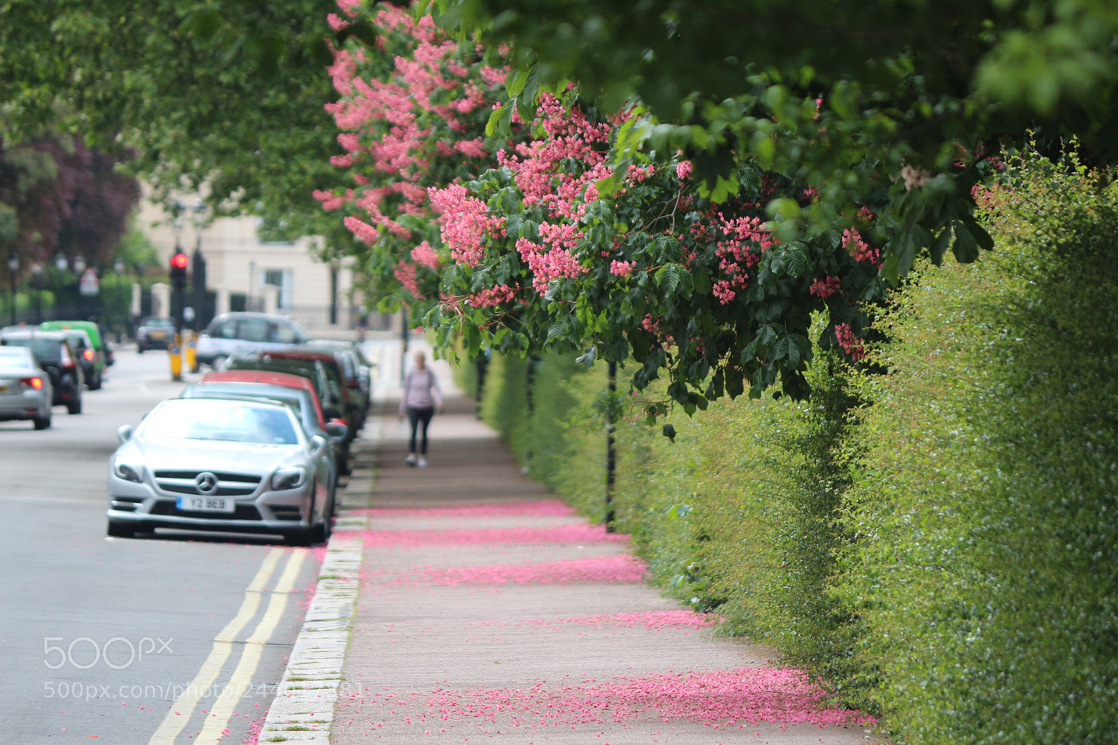 Canon EOS 650D (EOS Rebel T4i / EOS Kiss X6i) sample photo. Img photography