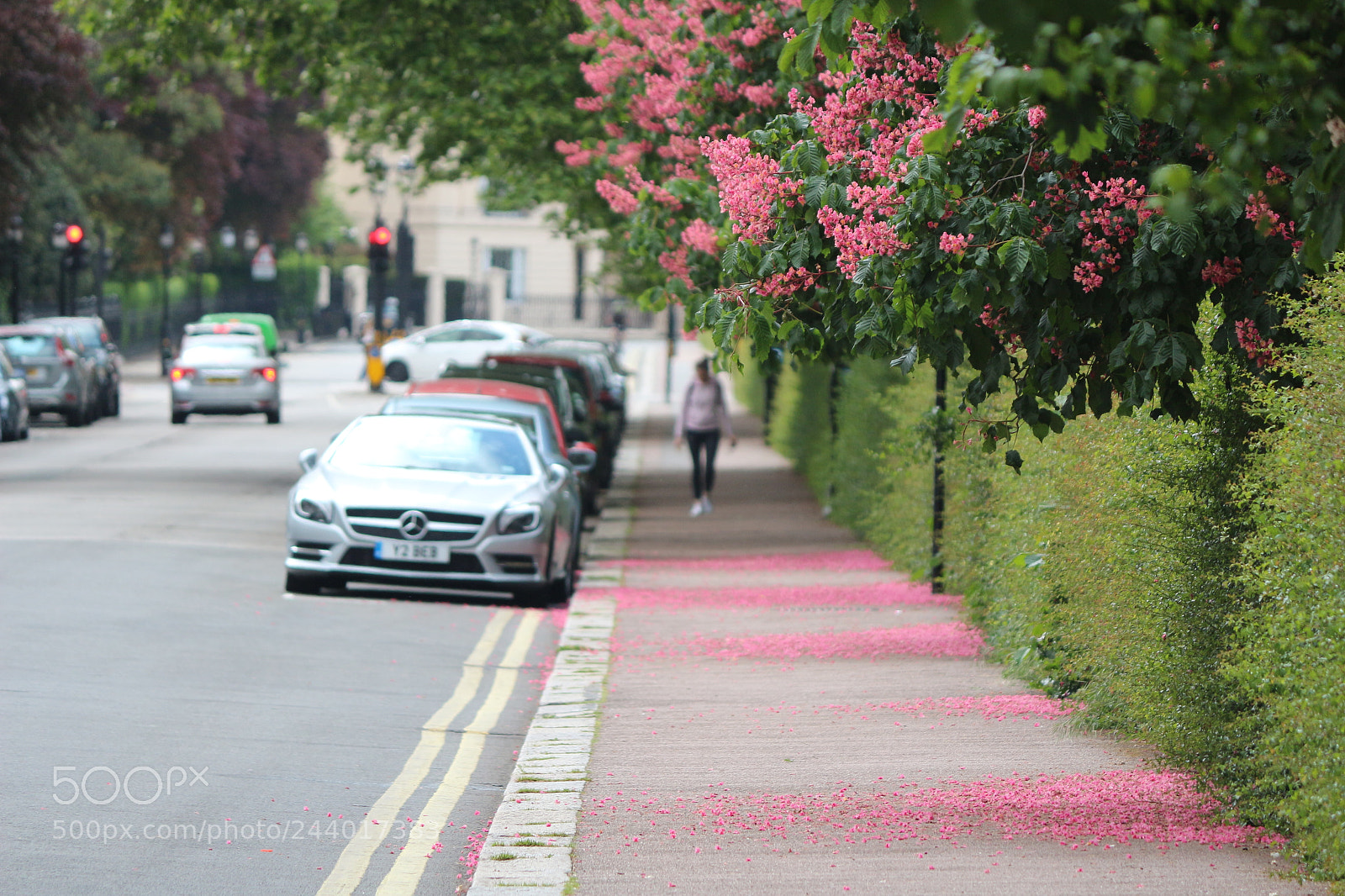 Canon EOS 650D (EOS Rebel T4i / EOS Kiss X6i) sample photo. Img photography