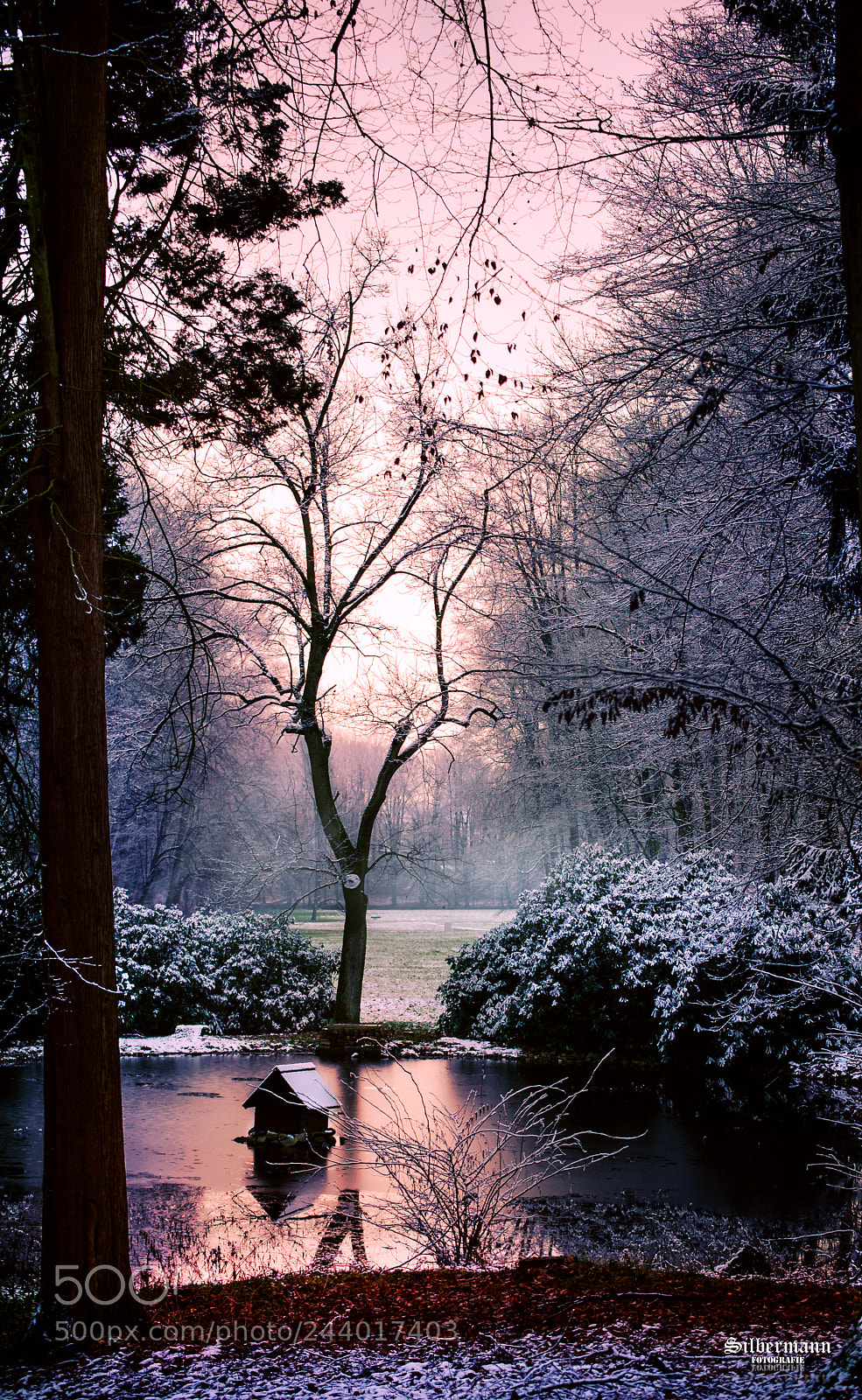 Nikon D700 sample photo. Ententeich photography
