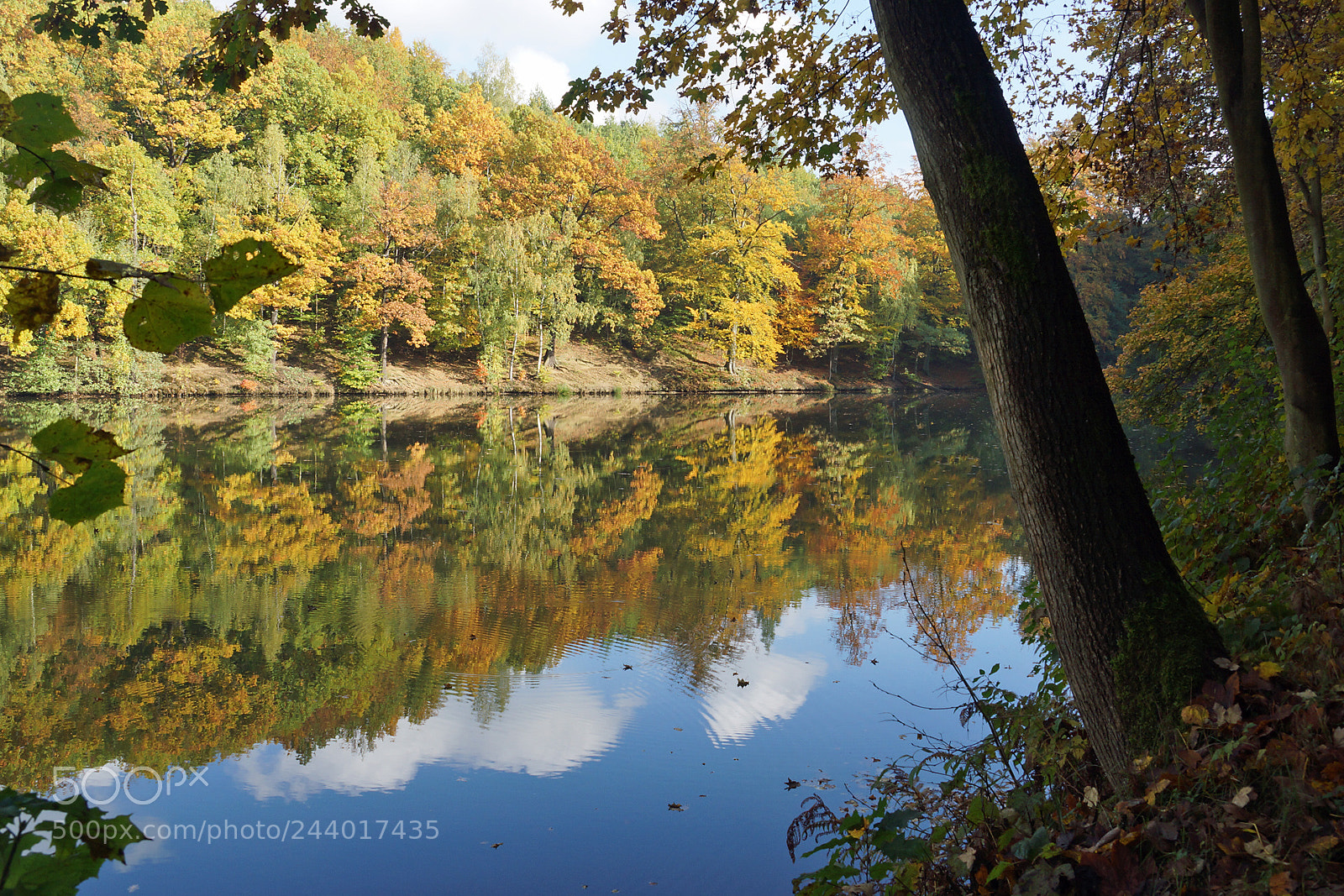 Sony SLT-A77 sample photo. Krebsteich im herbst photography
