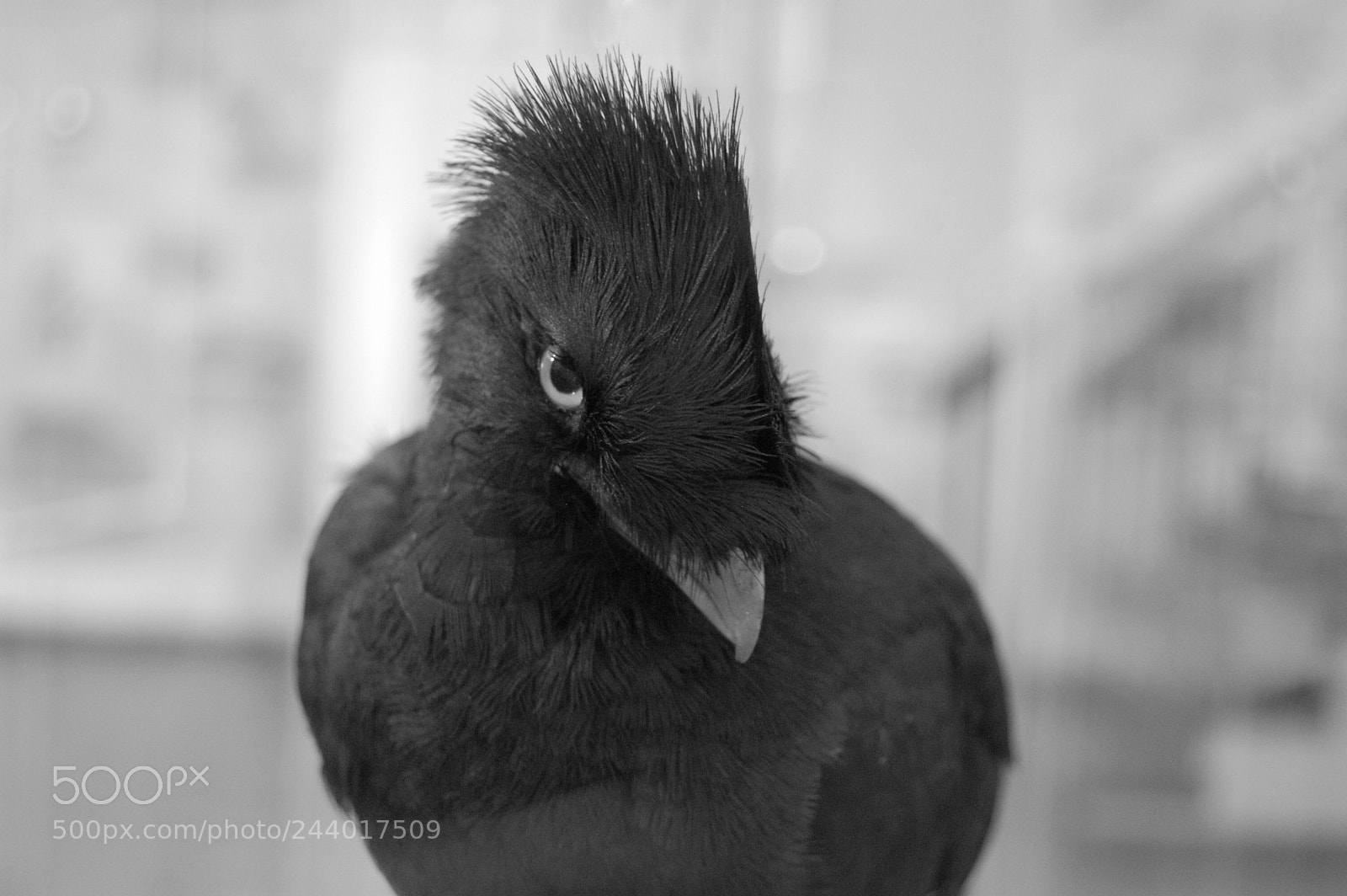 Nikon D50 sample photo. Untitled photography