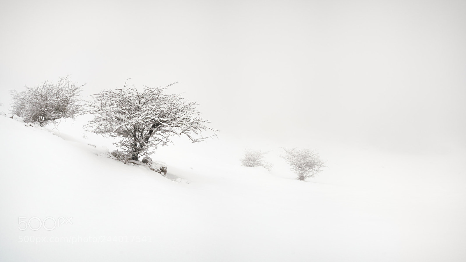 Sony a7R II sample photo. Nieve - snow photography