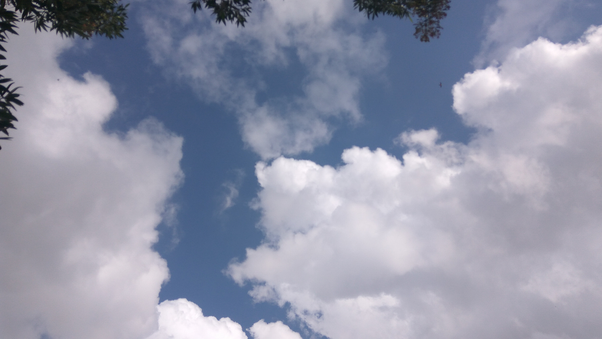 Xiaomi Redmi Note 3 sample photo