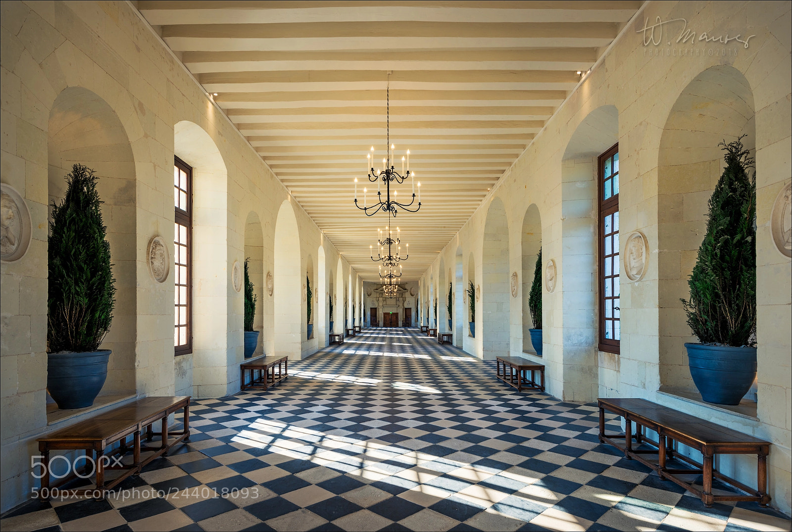 Nikon D810 sample photo. Golden light in the photography