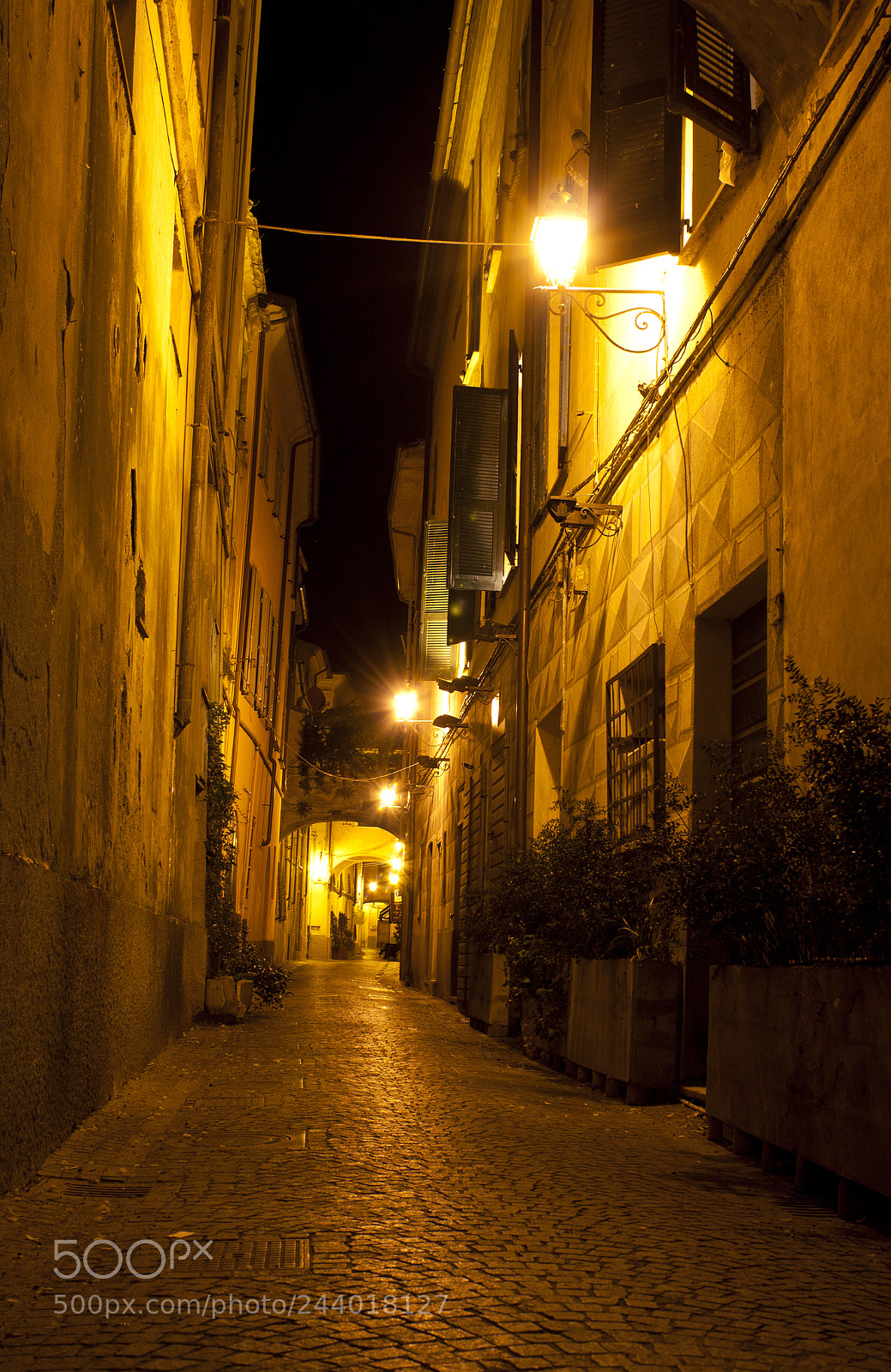Canon EOS 40D sample photo. Sarzana alley at night photography