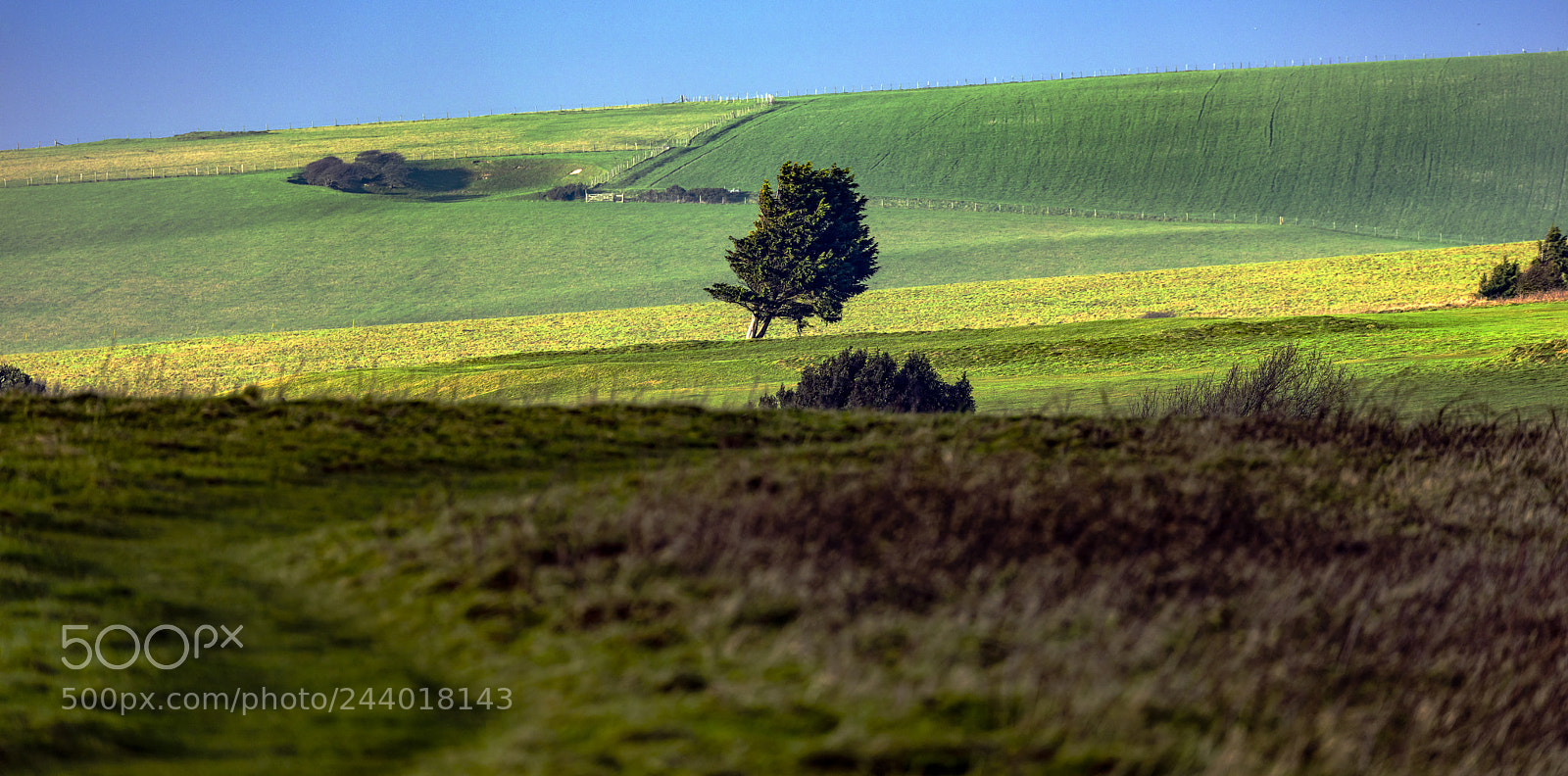 Canon EOS 5DS R sample photo. A green and pleasant photography