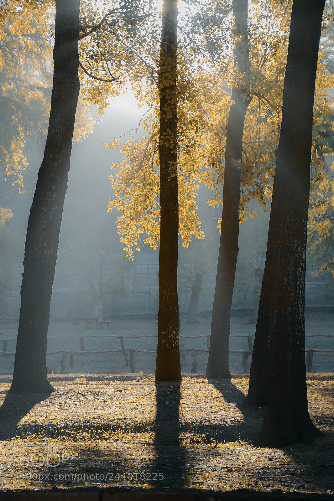 Nikon D7100 sample photo. First lights of morning photography