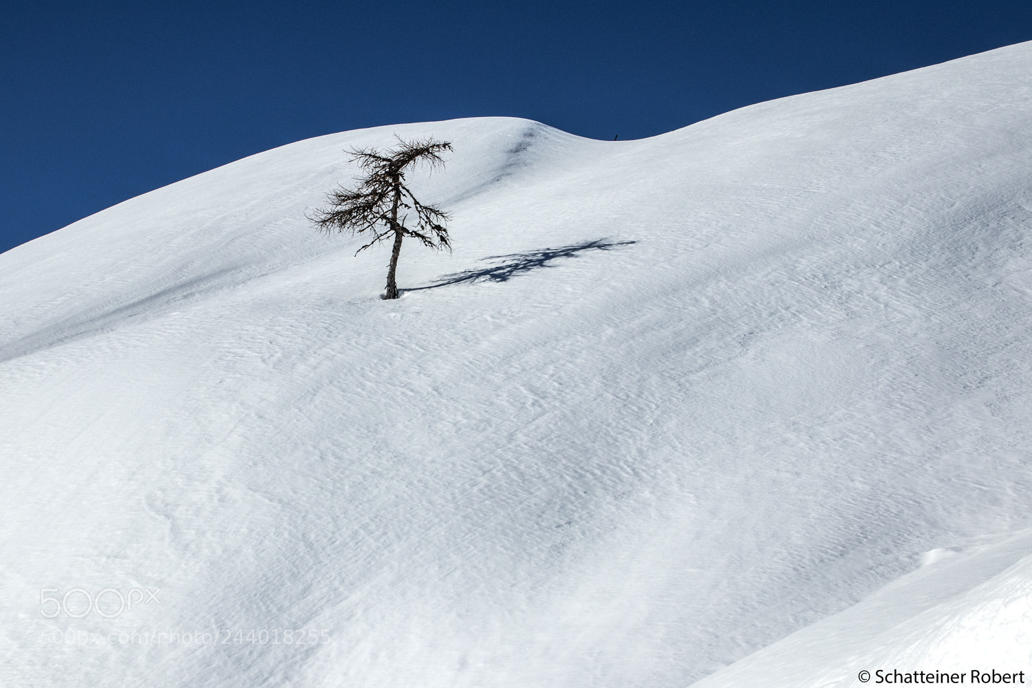 Canon EOS M5 sample photo. Snow, tree, sky photography