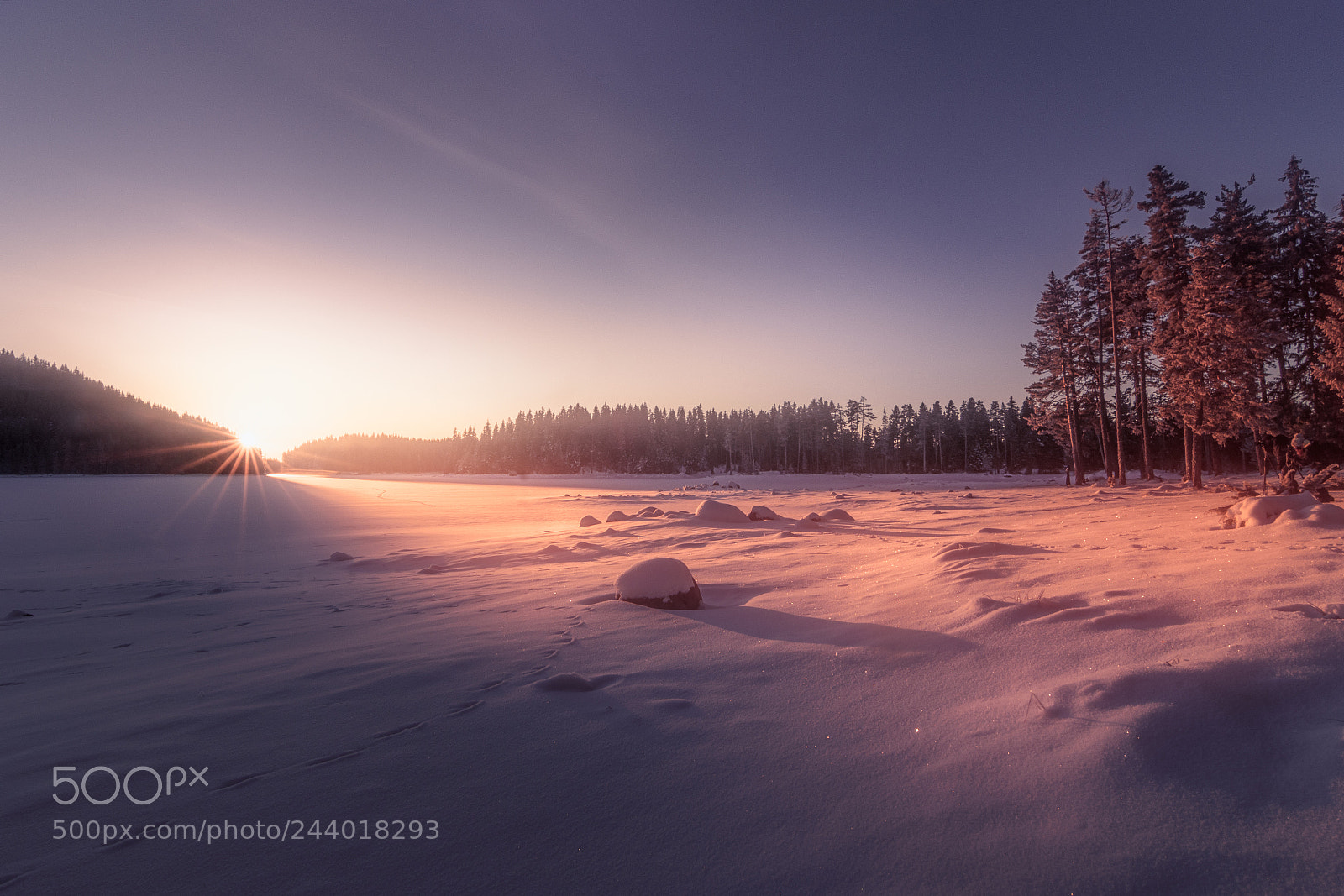 Nikon D7200 sample photo. Frosty sunrise photography