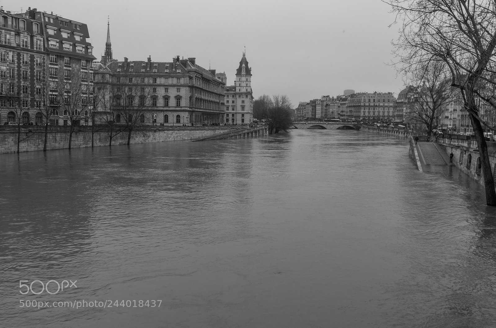 Pentax K-5 sample photo. The seine in flood photography