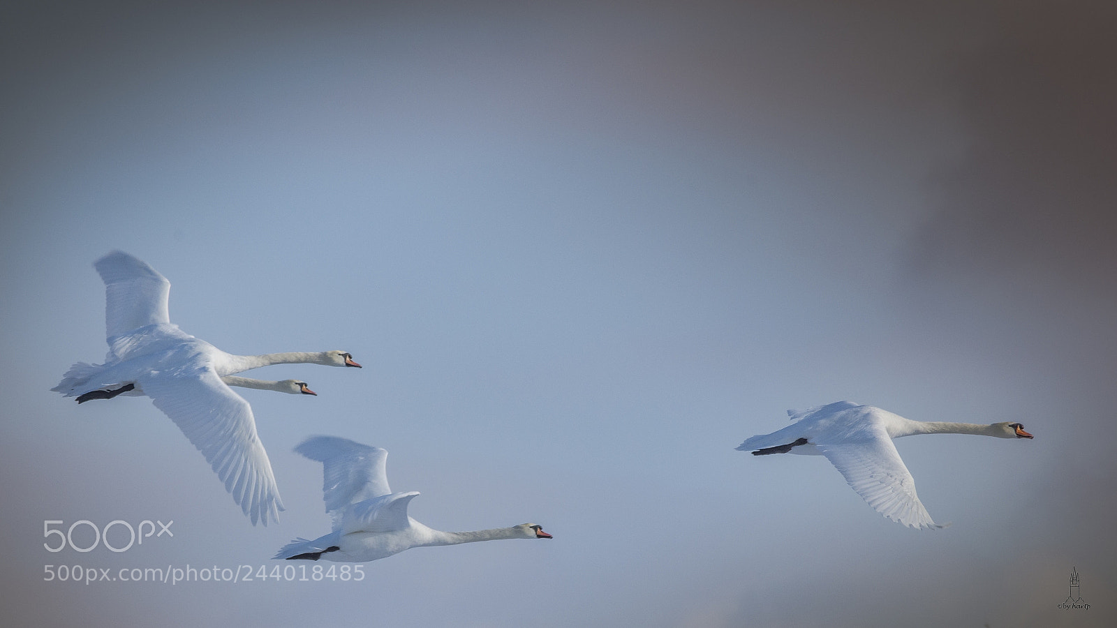 Nikon D7200 sample photo. Flugschau photography