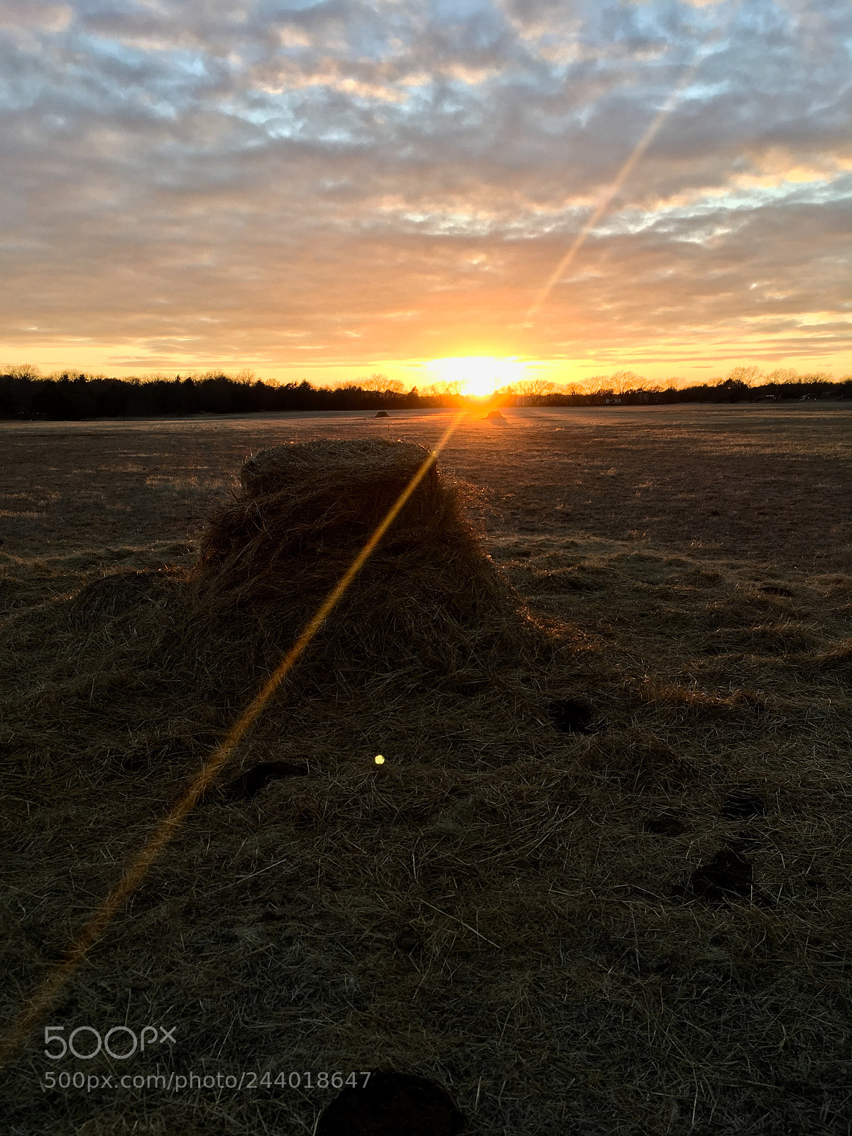 Apple iPhone SE sample photo. Sunset in the hayfield. photography