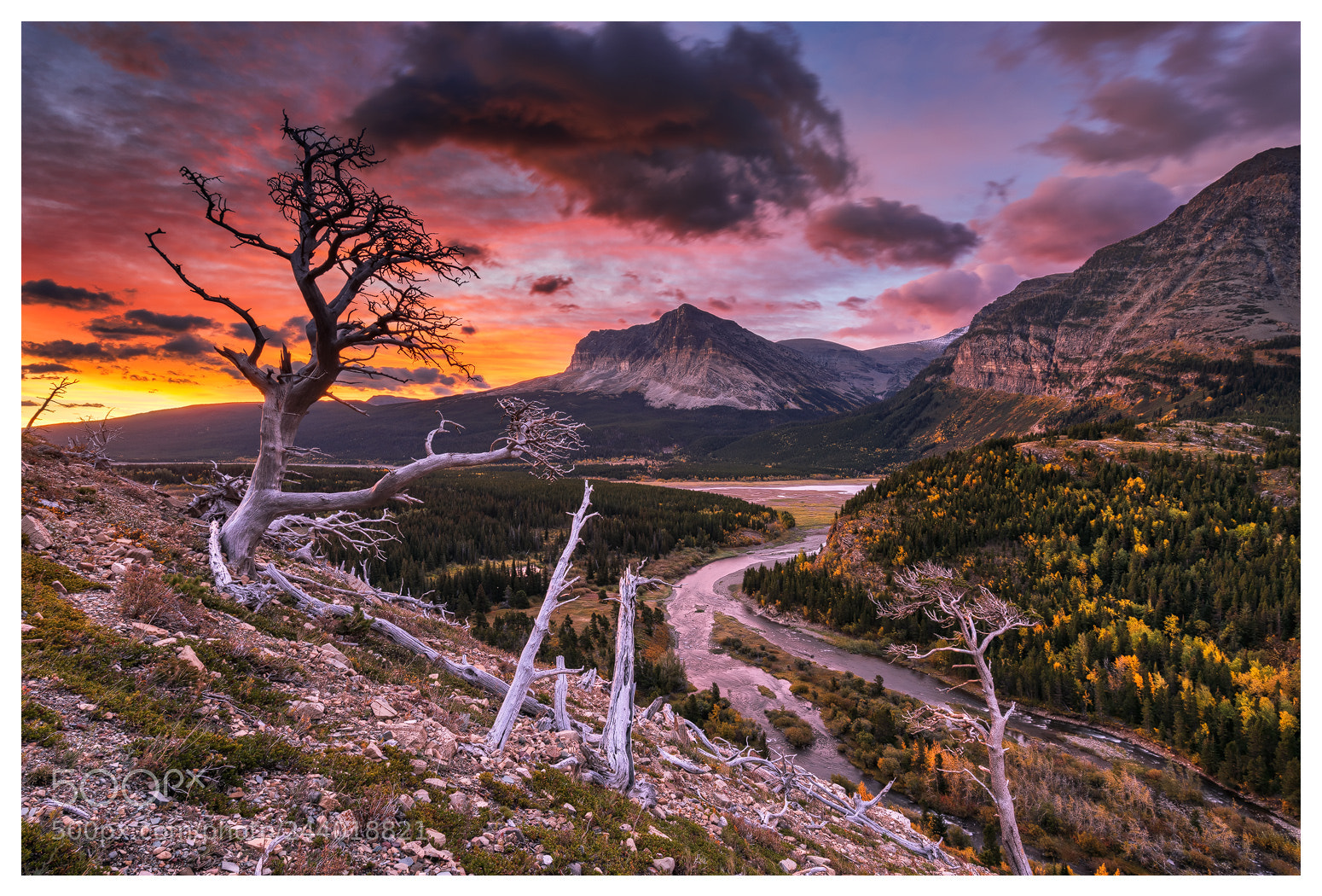 Nikon D810 sample photo. Autumn landscape photography