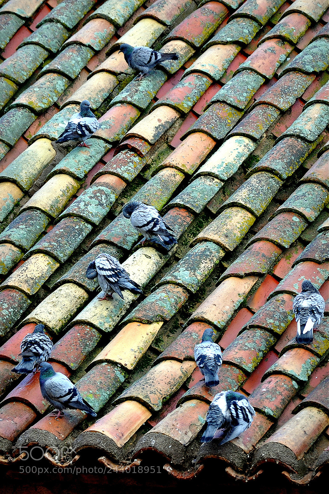 Nikon D90 sample photo. Madrid, spain photography