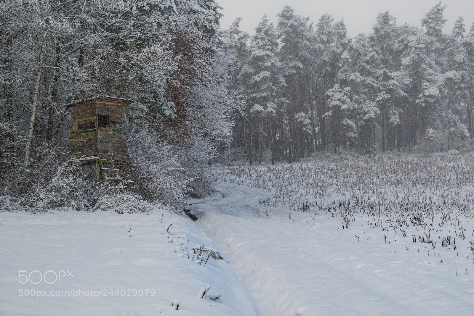 Pentax K-1 sample photo. Winter photography