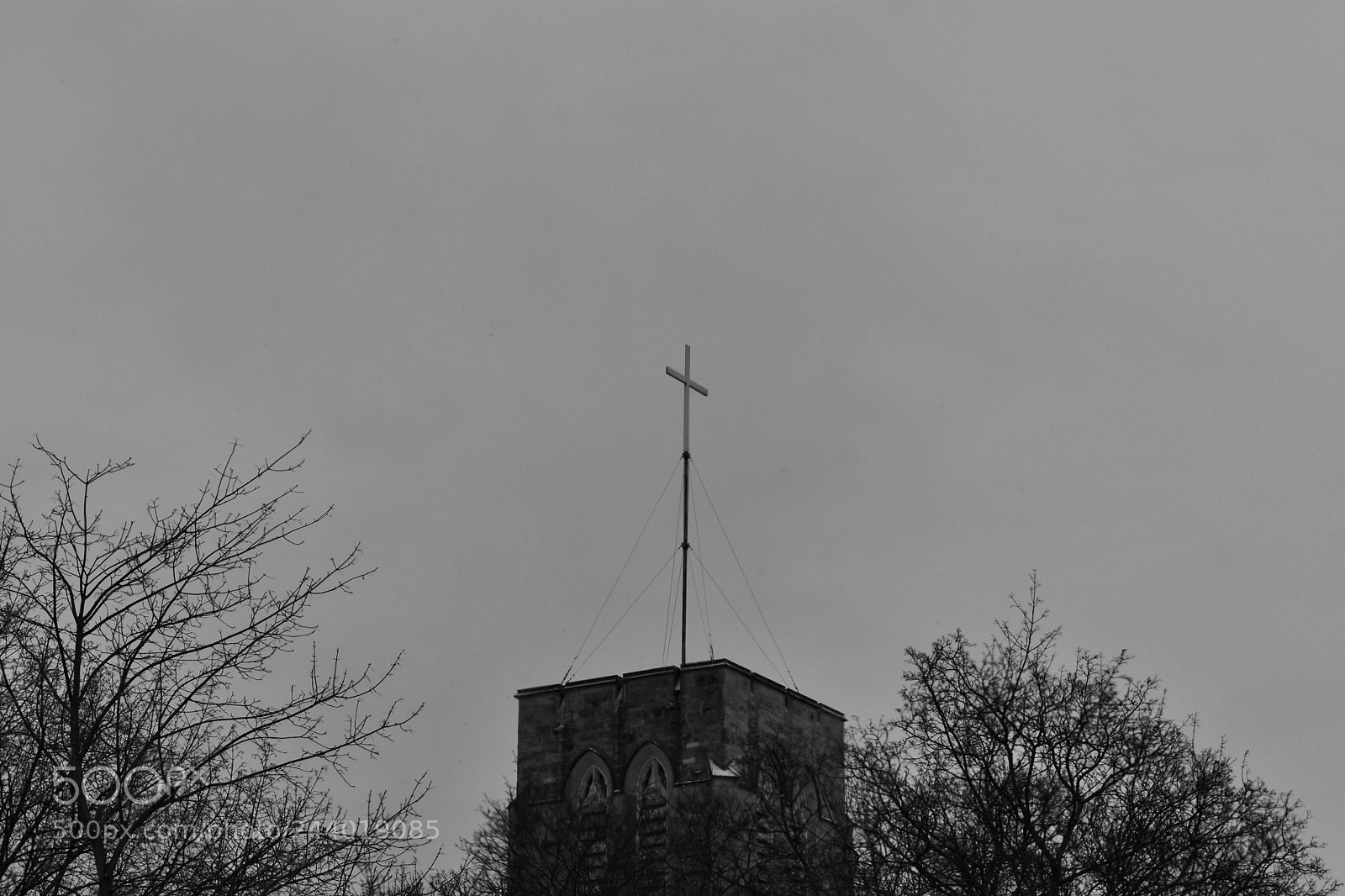 Nikon D3400 sample photo. Fullsizeoutput photography