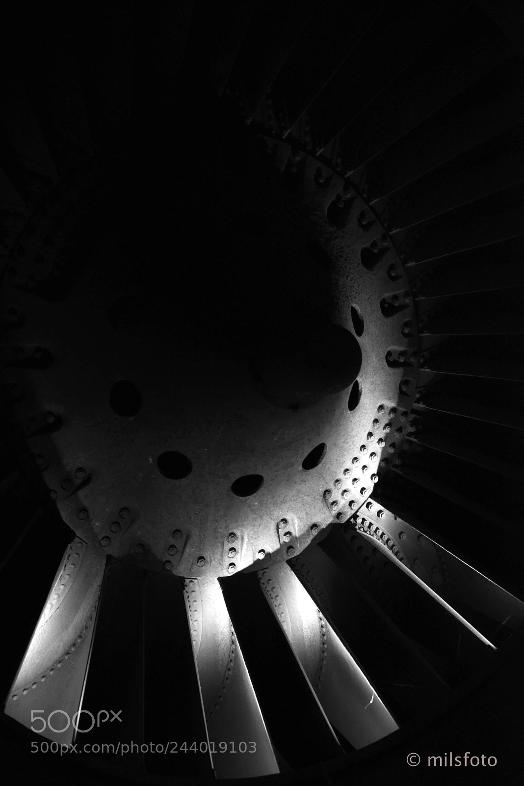 Nikon D810 sample photo. Fan that provided clean photography
