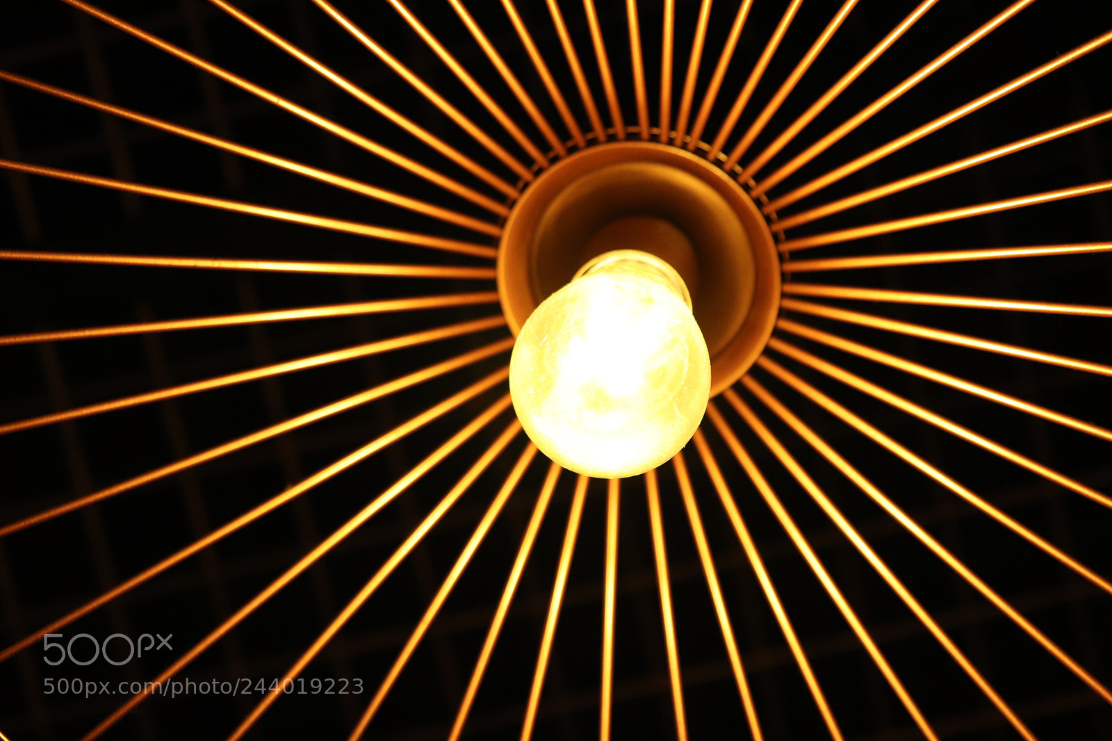 Canon EOS 77D (EOS 9000D / EOS 770D) sample photo. Untitled photography