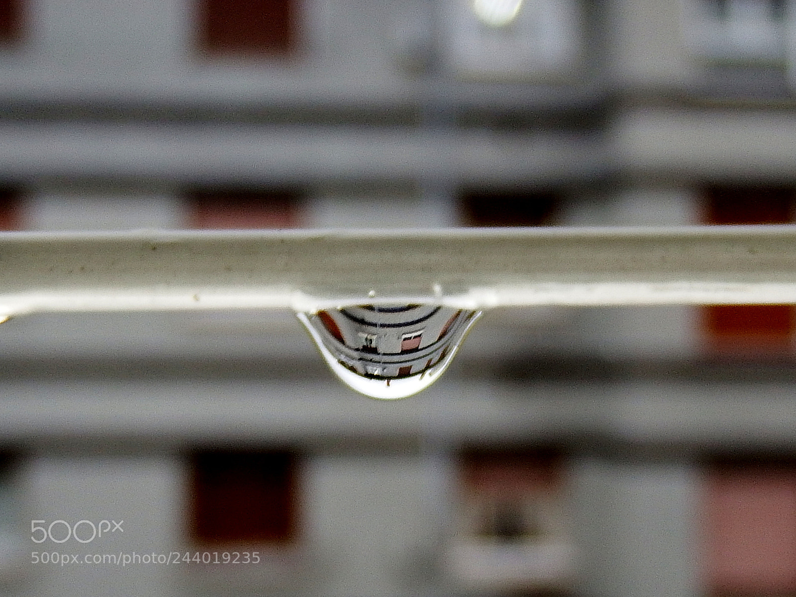 Fujifilm FinePix S1 sample photo. Rain drop photography