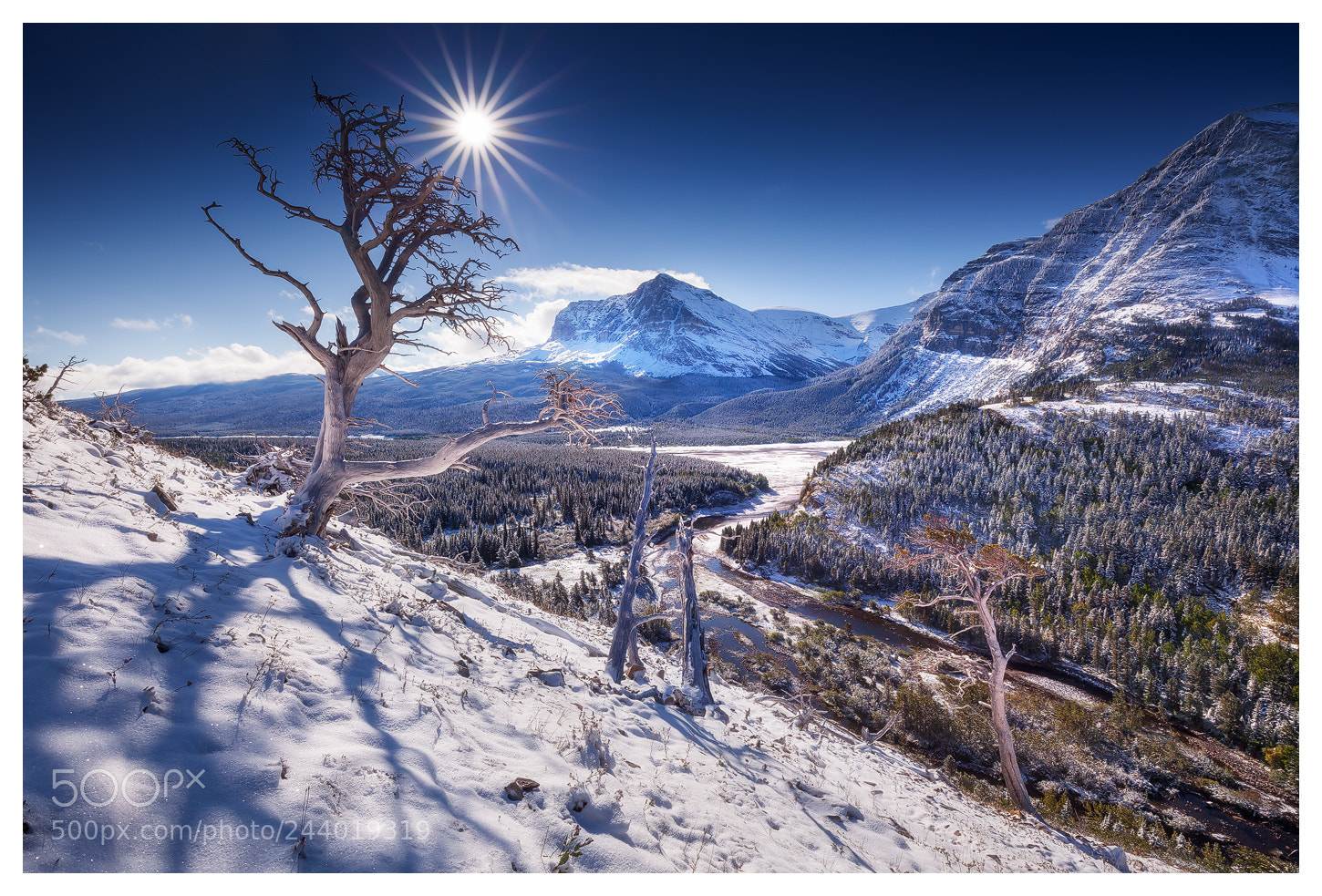 Canon EOS 5D Mark II sample photo. Winter landscape photography