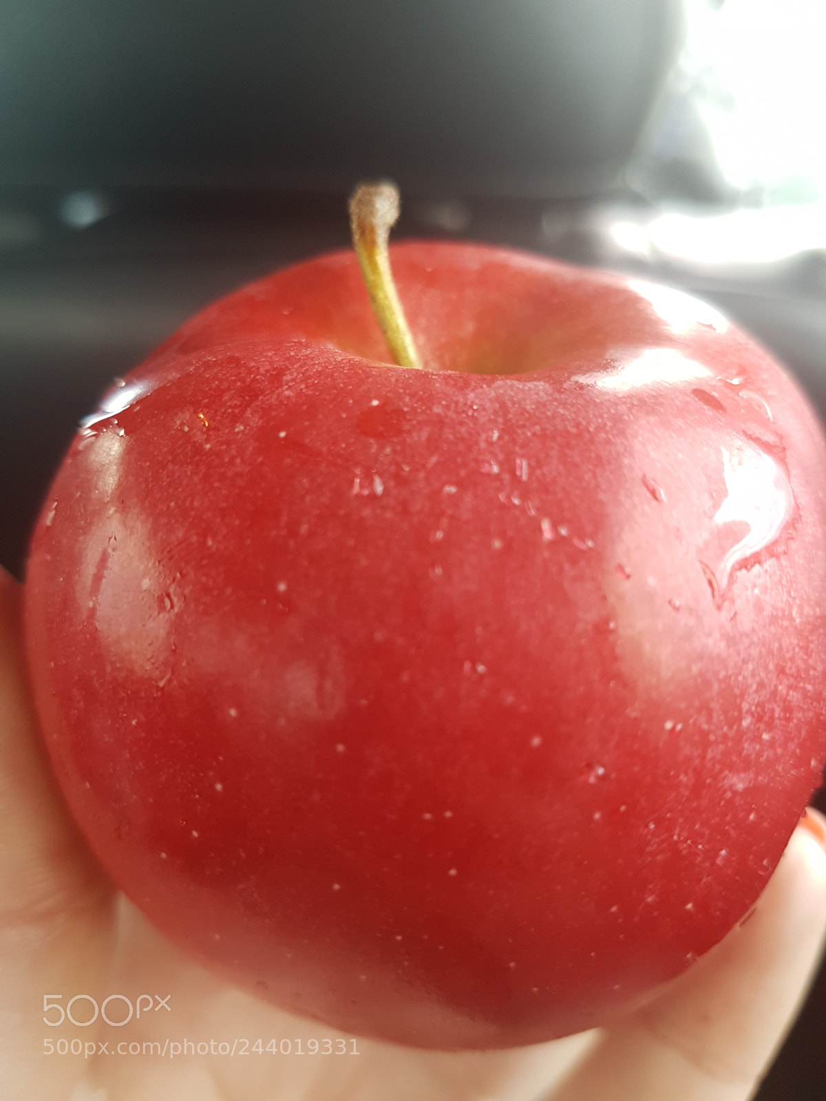 Samsung Galaxy S7 Edge sample photo. Untitled photography