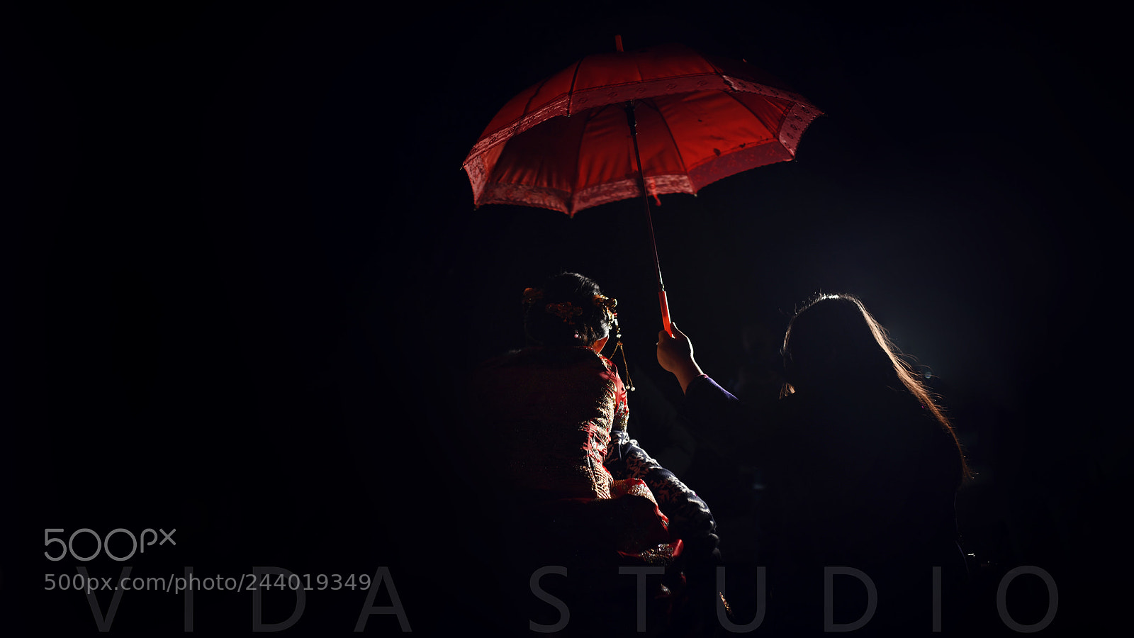 Nikon D850 sample photo. Untitled photography