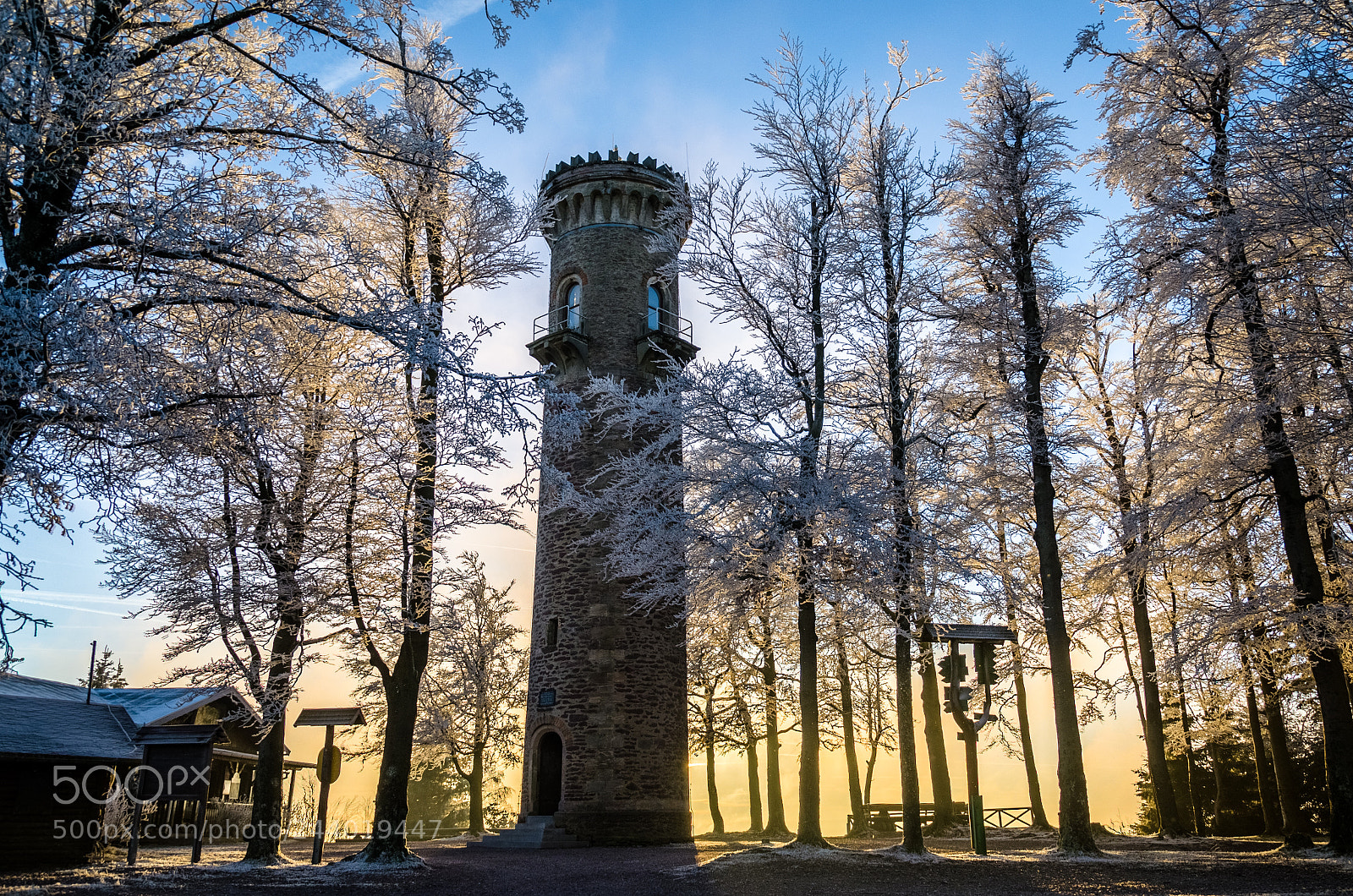 Nikon D5100 sample photo. Winter sun photography