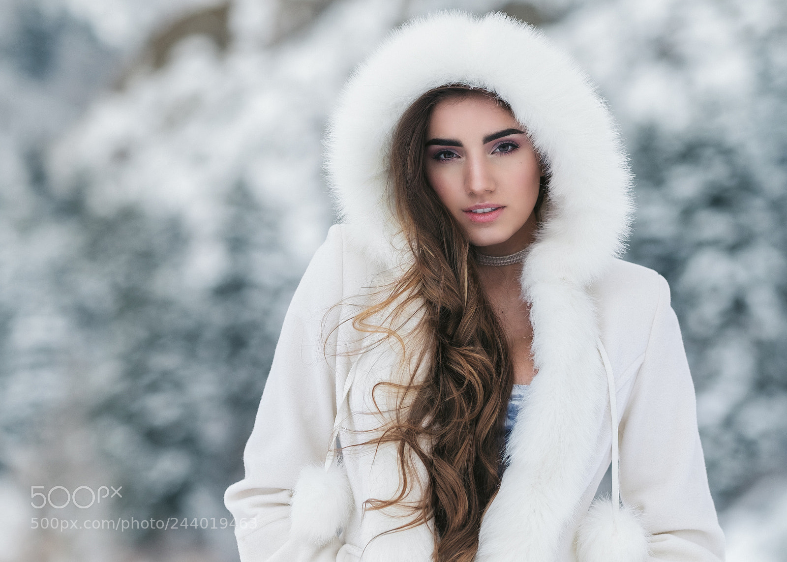 Fujifilm X-T1 sample photo. Melia photography