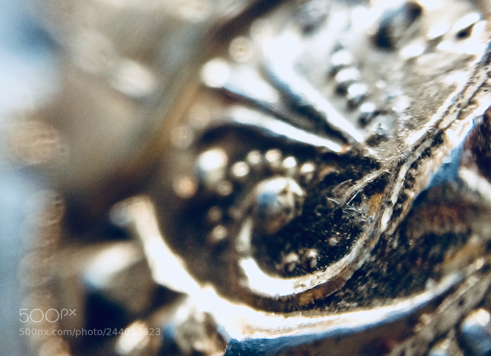 Apple iPhone 5s sample photo. Untitled photography